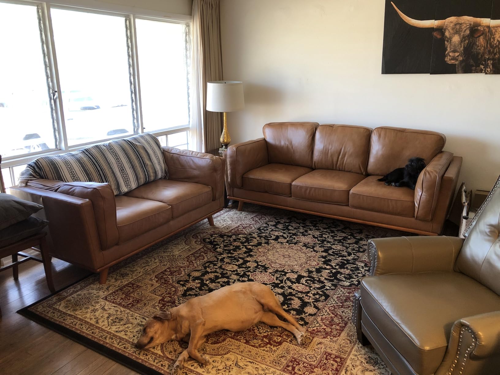 Valencia Artisan Full Leather Sofa 88” - Pure Full Italian Nappa Leather Couch for Living Room Furniture, Solid Wood Accent, Ultimate Comfort, Cognac Tan customer photo 1