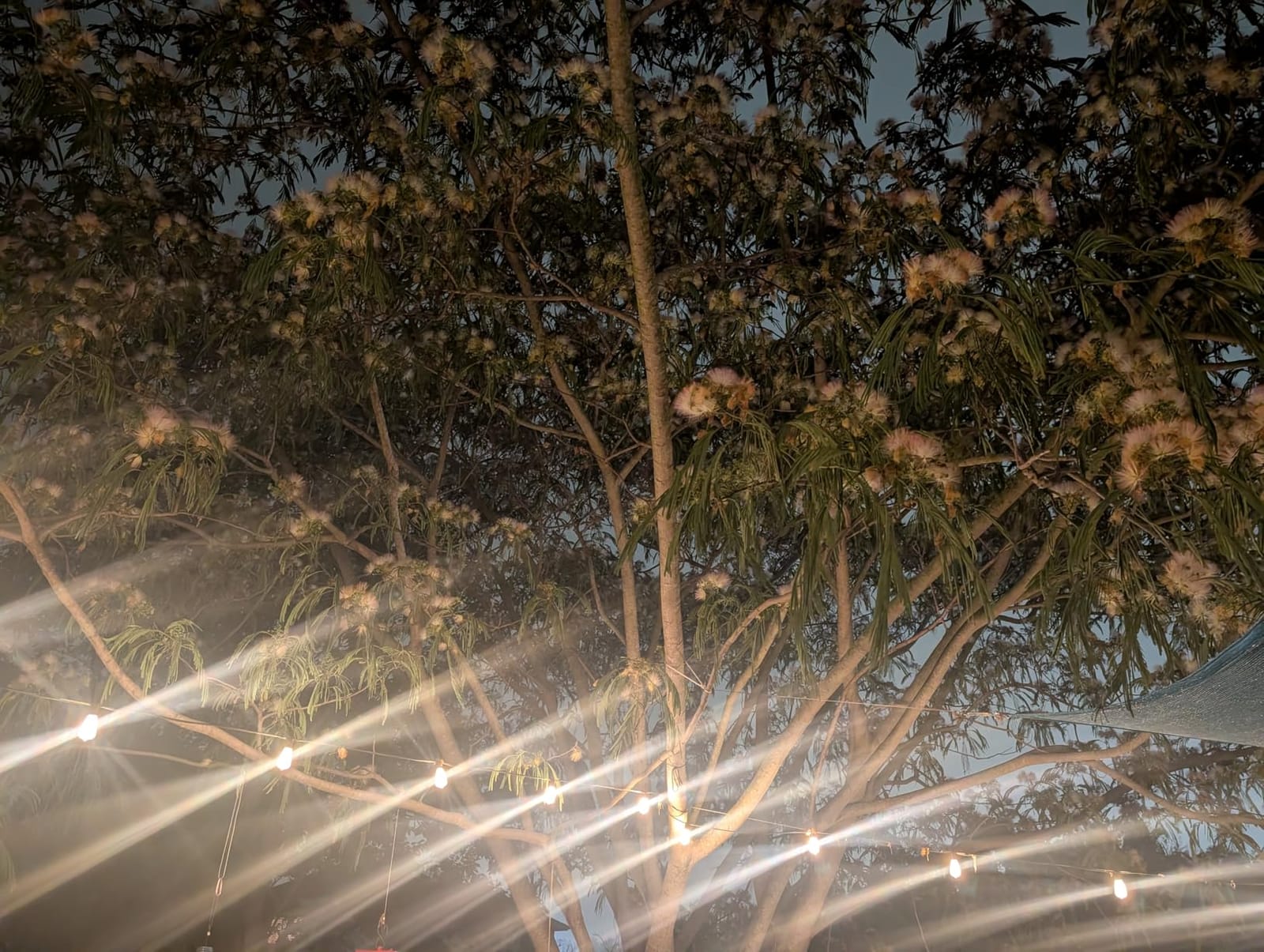 Brightever 100FT Outdoor String Lights 52 Bulbs, Waterproof Patio Lights customer photo 1