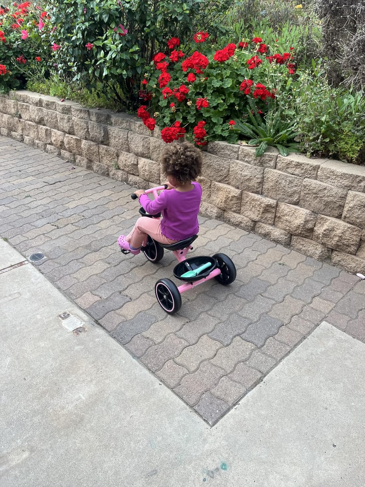 KRIDDO Toddler Tricycle for Toddlers Age 2-5, Tool-Free Trike customer photo 1
