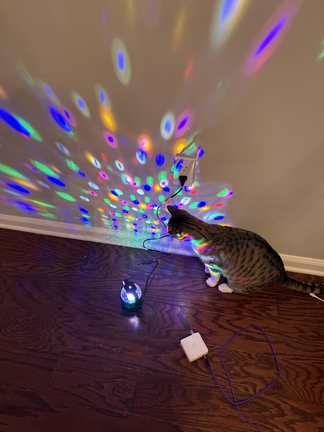 NEQUARE Disco Ball DJ Party Lights Sound Activated with Remote Control Strobe Lamp 7 Modes Stage Light for Home Room Dance Parties Karaoke Halloween Christmas Birthday Decorations[3-Pack] customer photo 1