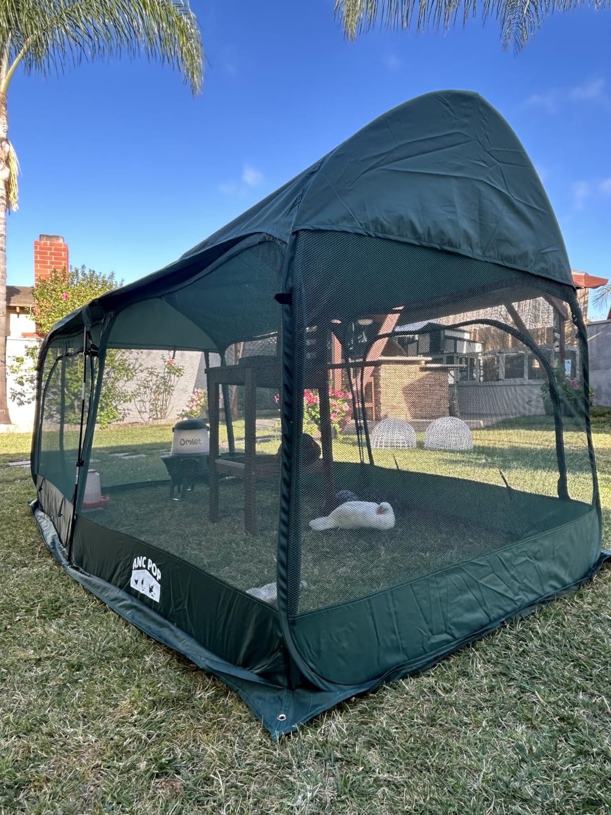 ANC POP Portable Chicken Run Large Pop-Up Chicken Pen for Small Animals Outdoor Gardening Net with 3 Doors and Handbag, Easy to Install and Storage, Green customer photo 1