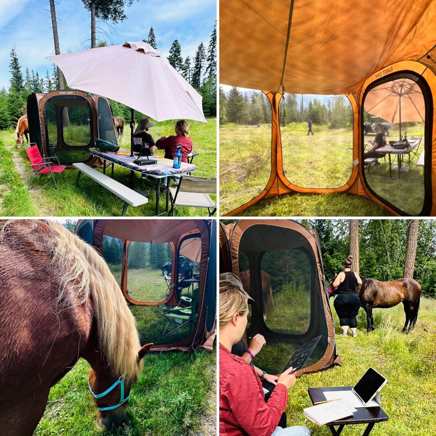 East Oak Pop up Screen Tent with Mosquito Netting, Portable Screen House Canopy Shelter, 10 x 10 FT Instant Screen Gazebo & UPF 50+ UV Protection for Patio, Backyard, Deck & Outdoor Activities, Beige customer photo 1