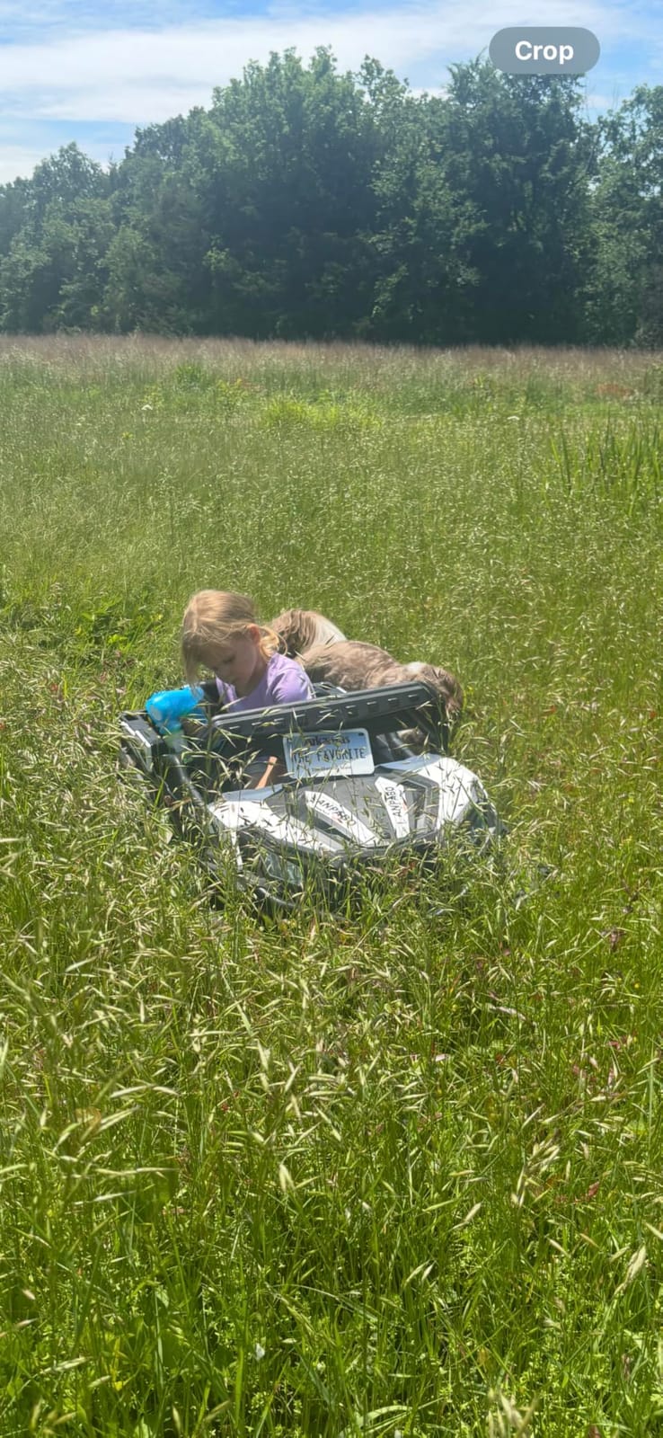 ANPABO 24V Ride On Toys for Kids w/Remote Control, 4WD/2WD Switchable, Blue customer photo 2