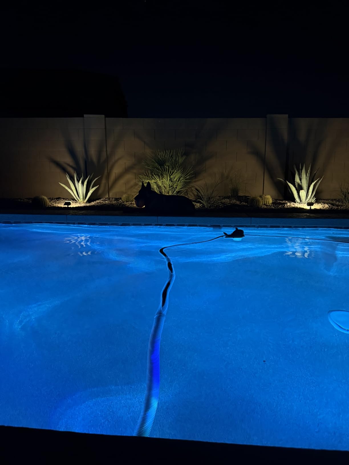 NYMPHY Solar Lights Outdoor Waterproof - 4 Pack (Warm White) customer photo 2