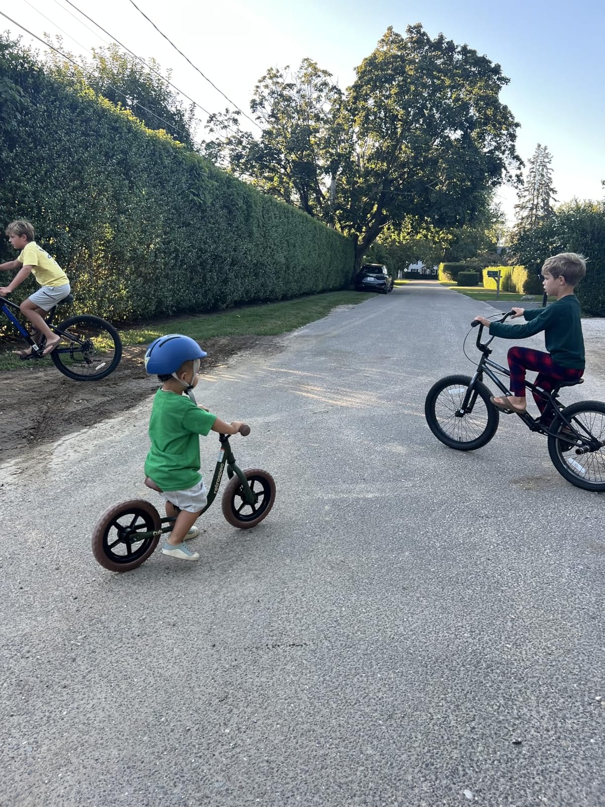 Retrospec Cub Toddler Balance Bike for Ages 18 Months - 3 Years - 12in No-Pedal Beginner Bicycle with Adjustable Seat, Puncture-Proof Tires & Safe Low Frame Design customer photo 1