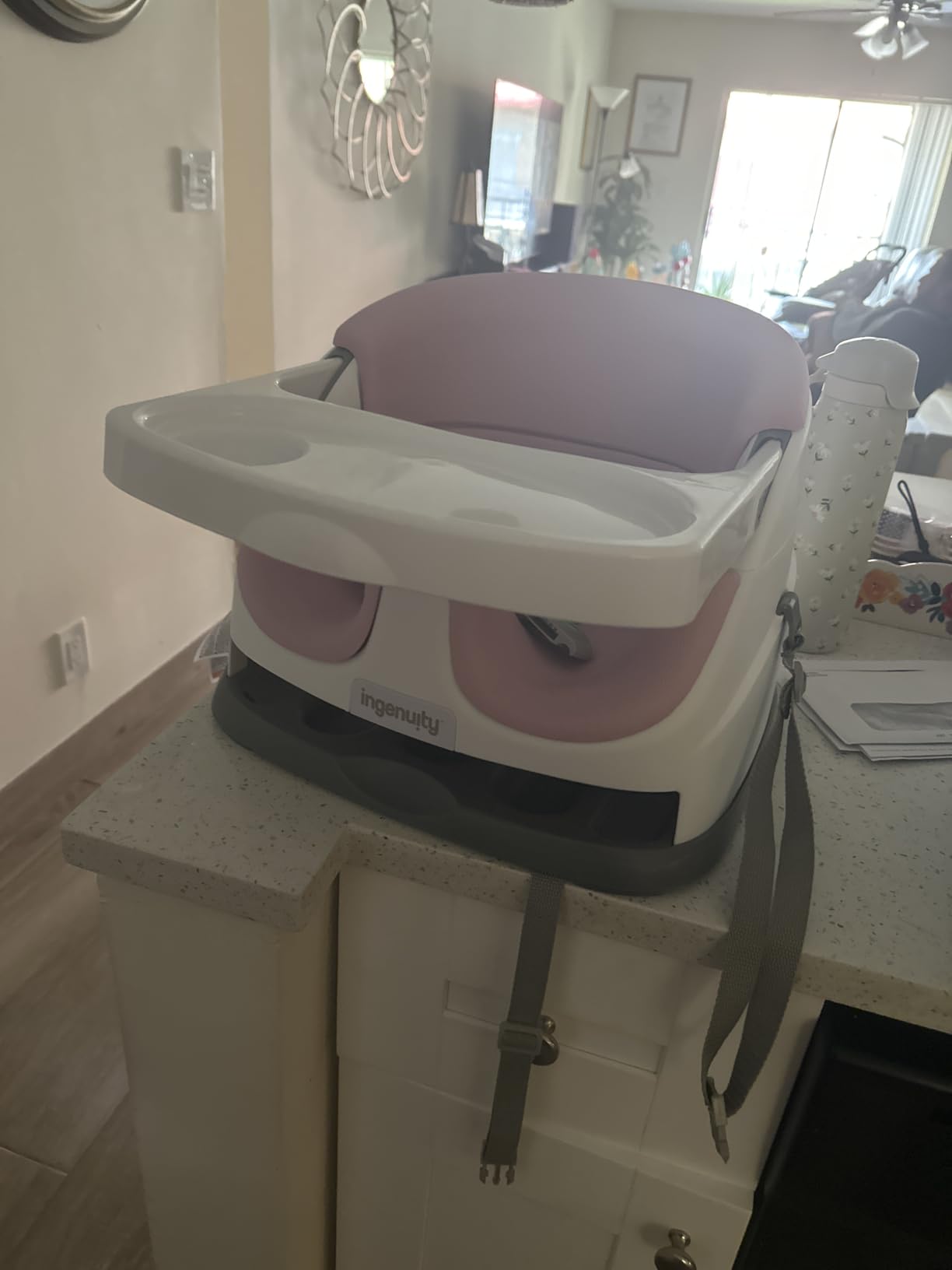 Ingenuity Baby Base 2-in-1 Booster Feeding and Floor Seat with Tray customer photo 2