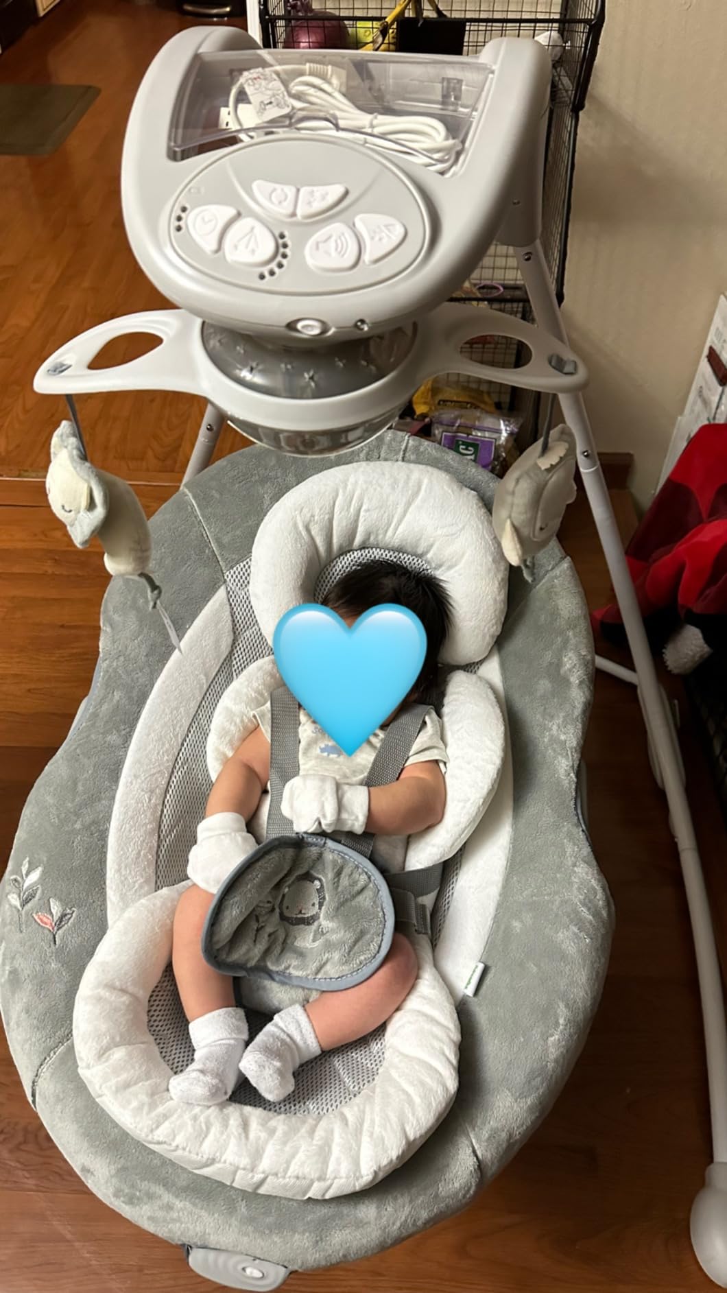 Ingenuity InLighten Soothing Swing - Swivel Infant Seat, Soothing Sounds, Lightweight Mesh - Dakota customer photo 2