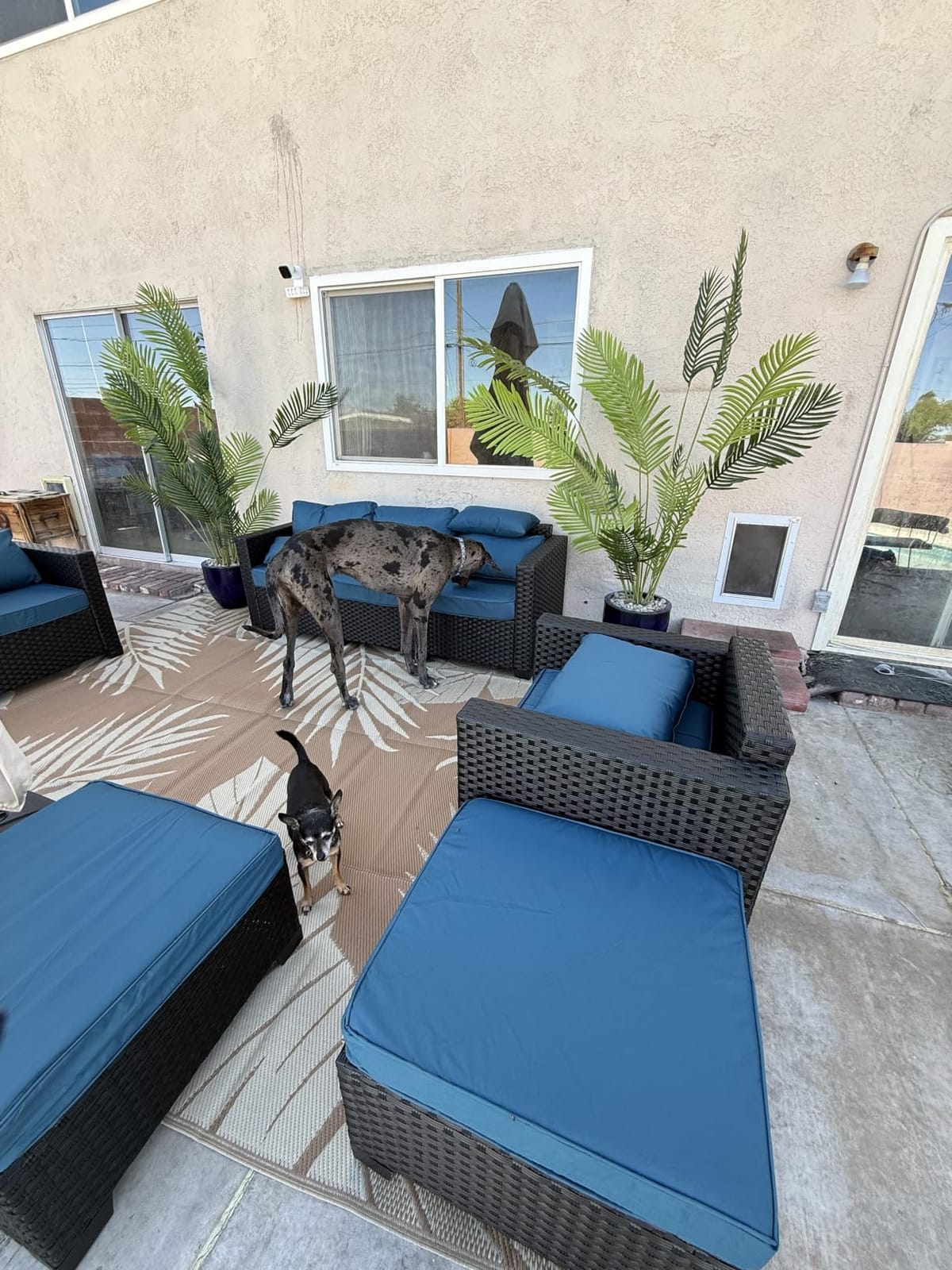 Rattaner Patio Furniture Set 6 Pieces Couch Outdoor Chairs Coffee Table Peacock Blue Anti-Slip Cushions and Waterproof Covers customer photo 2