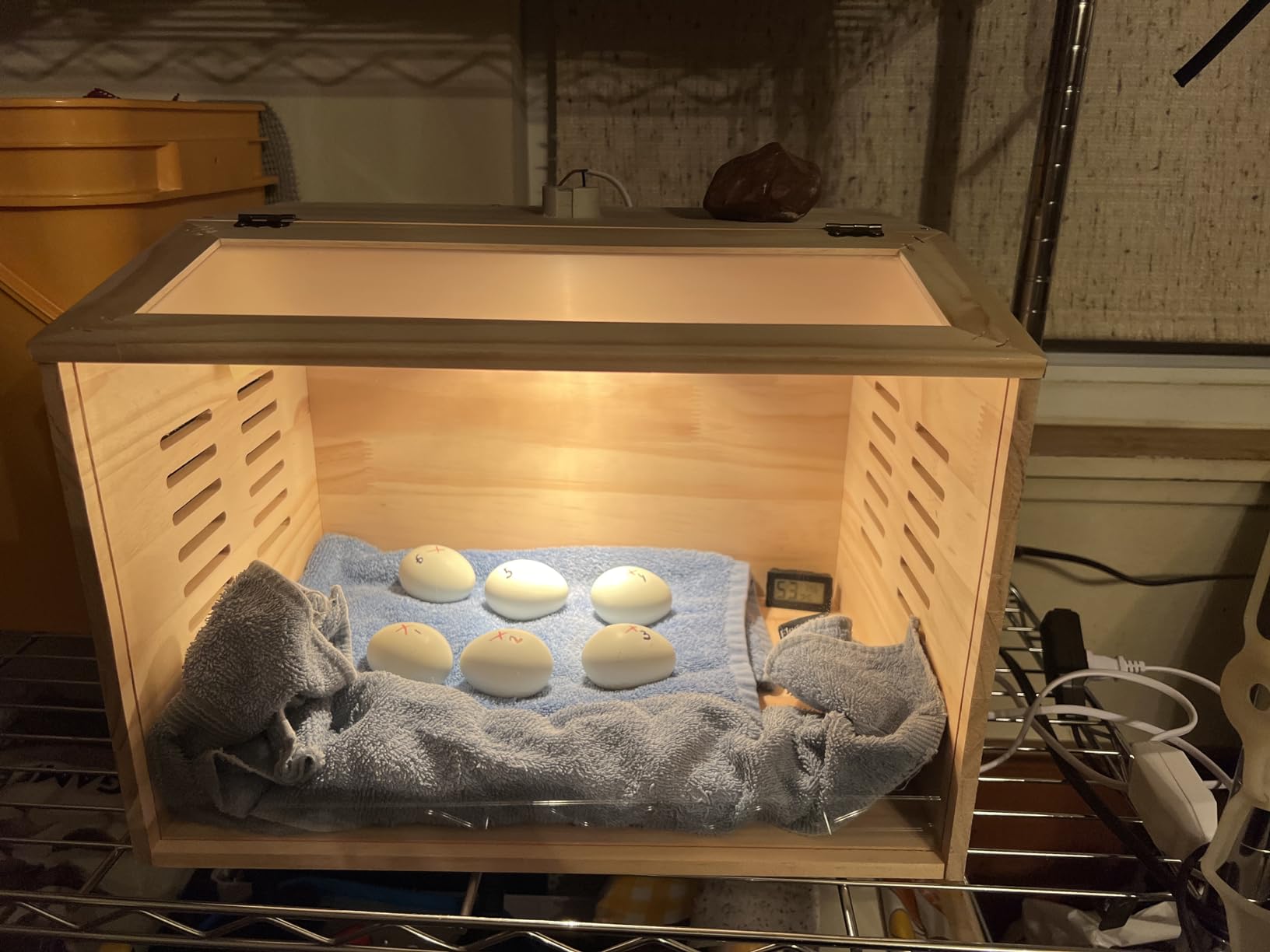 Brooder Box for Chicks, Chicken Brooder with Heater for Baby Poultry customer photo 1