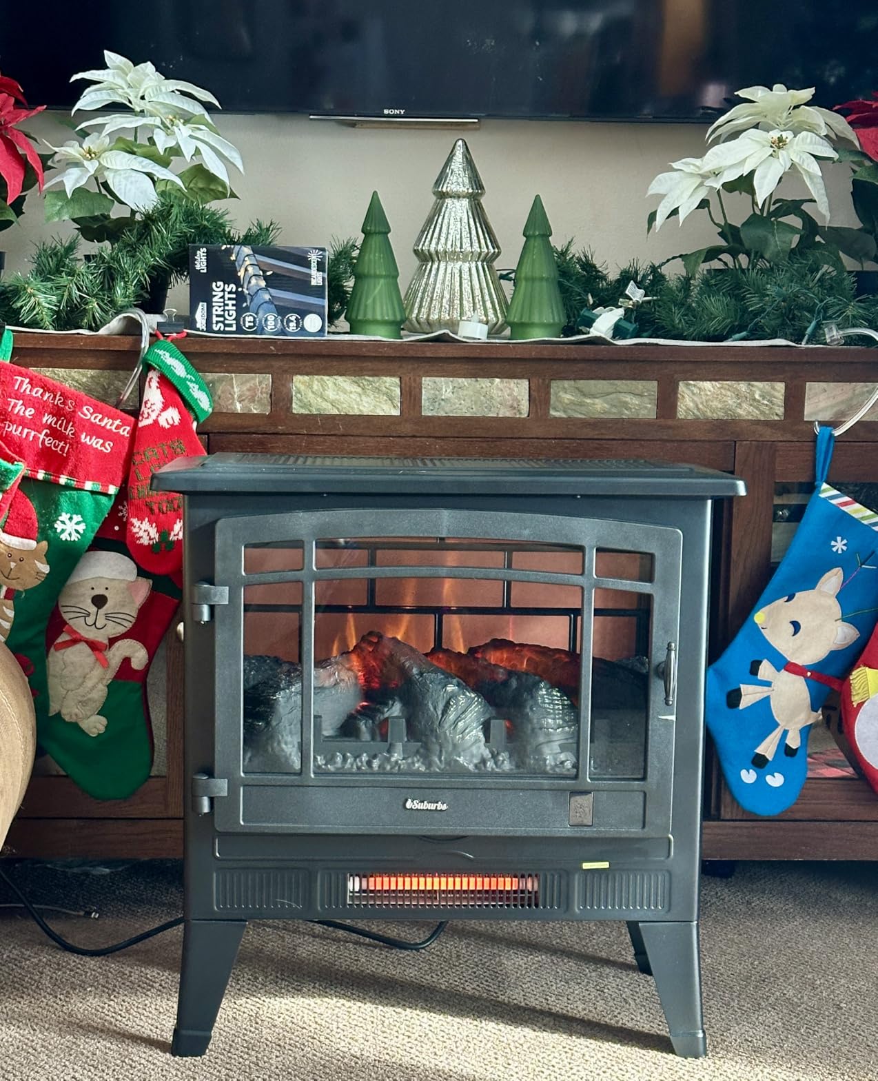 TURBRO Suburbs TS17Q Infrared Electric Fireplace Stove customer photo 1