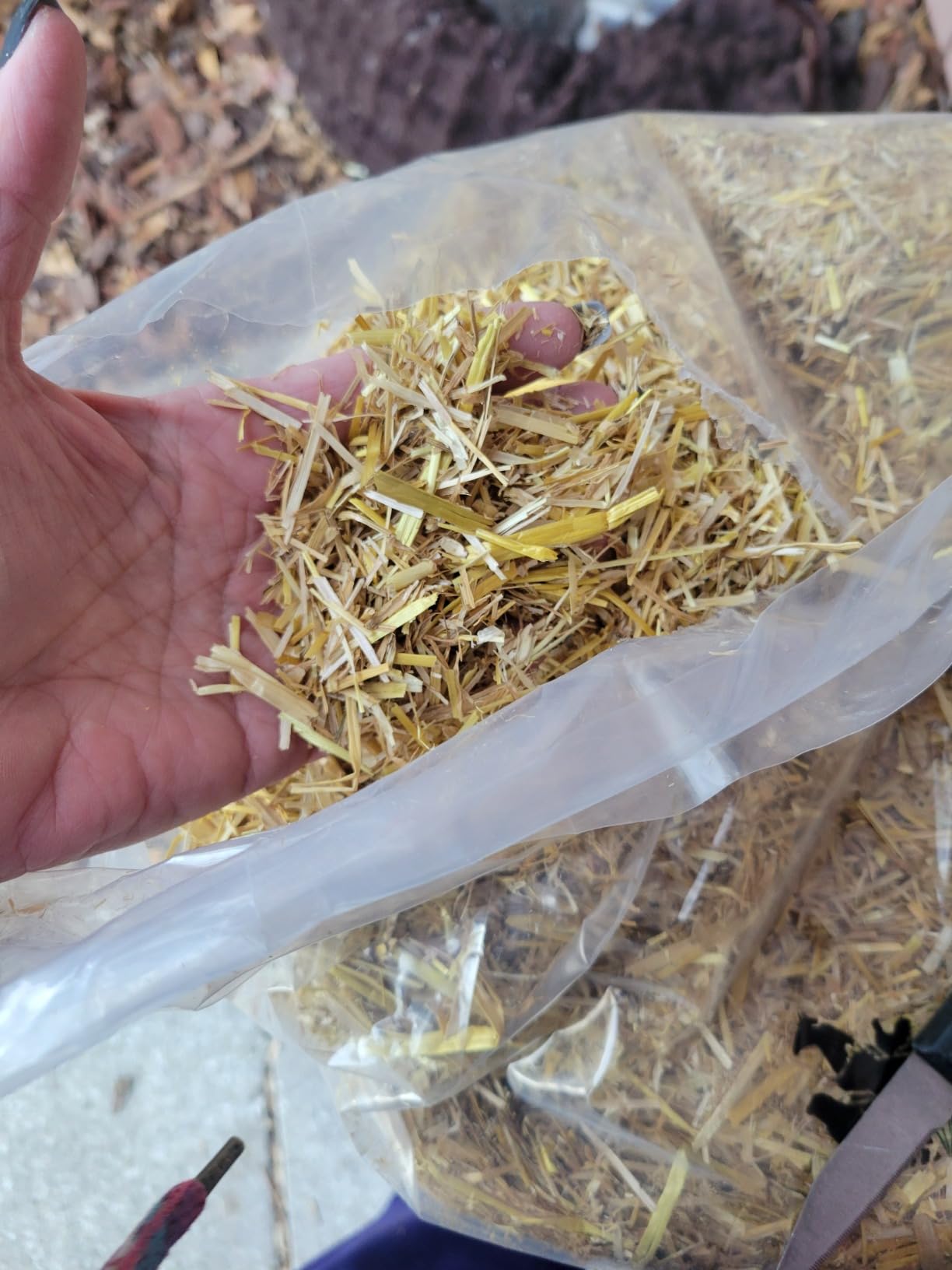 HealthiStraw FarmStraw Coarse Cut, 3 cu ft (25 lb) Expands to 10+ cu ft – Wheat Straw Bedding for Homesteads, Hobby Farms & Small Pets – Dust-Free, Absorbent, Fluffy, Insulating, Sustainably Sourced customer photo 2