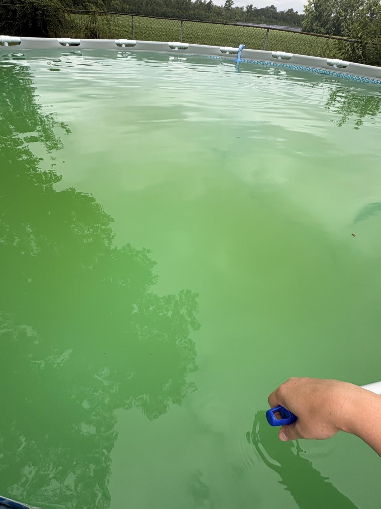 KOKIDO Cordless Handheld Pool Vacuum for Above Ground Pool, with 6ft Pole and 2 Vac Brush Heads, Ideal for Spot Cleaning Small Inground Pool Spa up to 20ft, Rechargeable, 60min, Sand and Light Debris customer photo 1