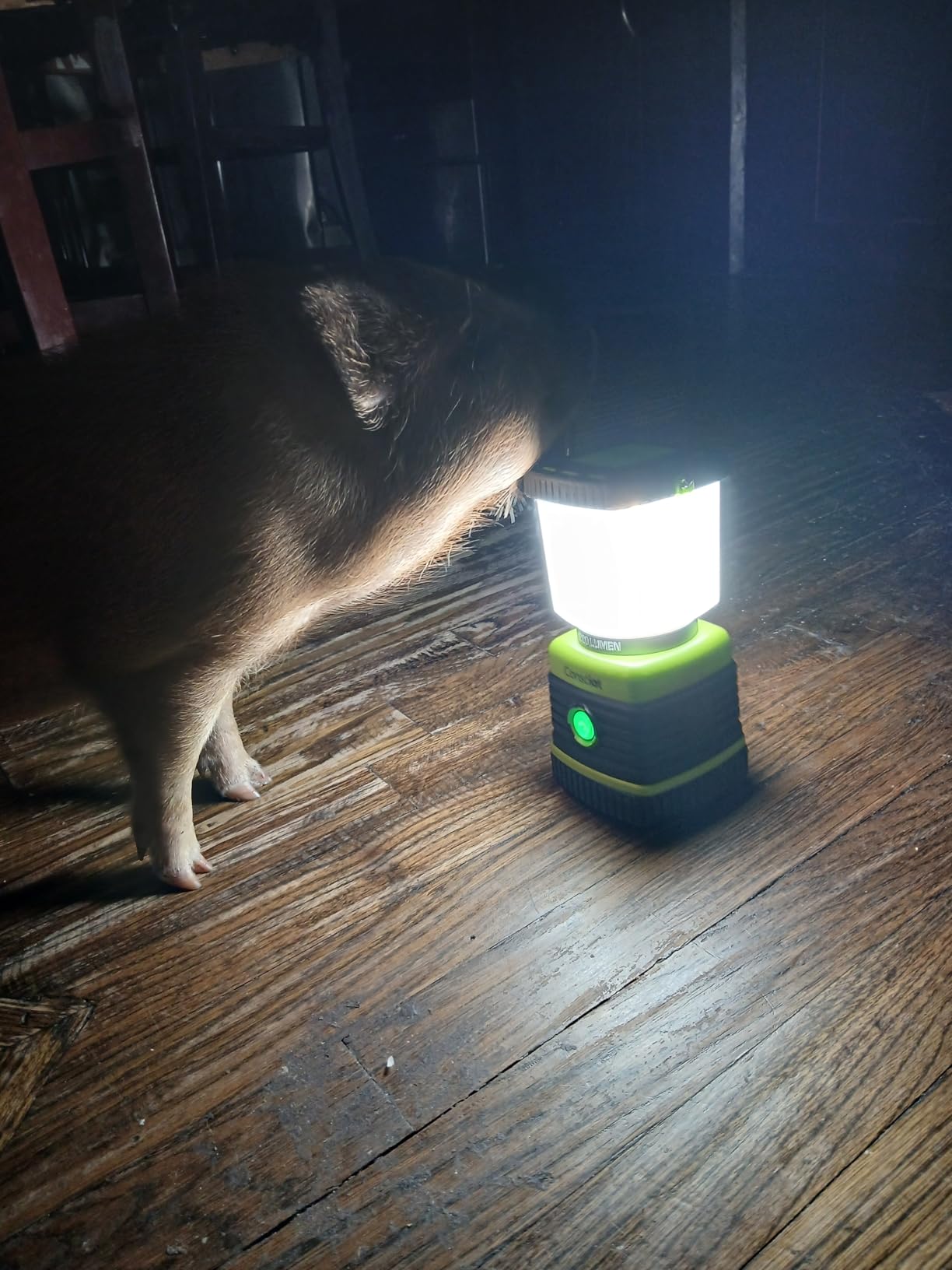 Consciot 1000LM LED Camping Lantern Rechargeable, 4 Light Modes, Dimmable customer photo 2