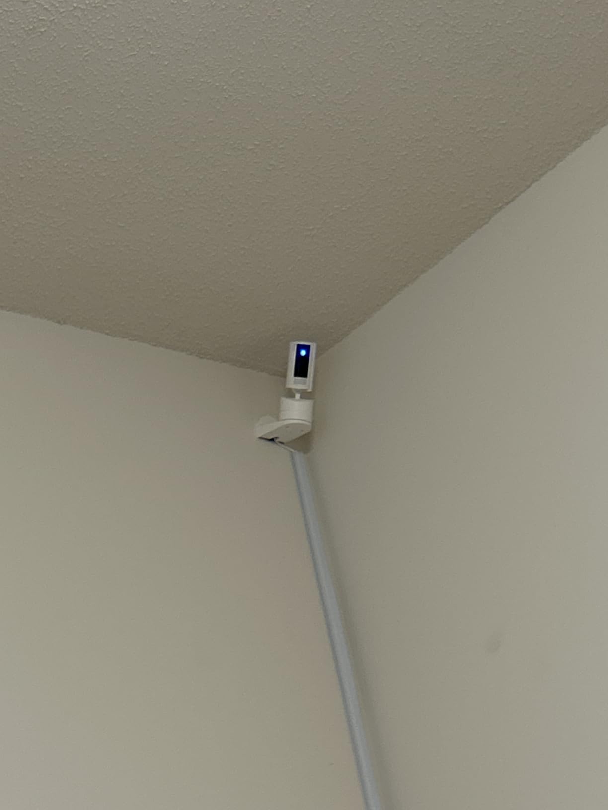 Ring Pan-Tilt Indoor Cam (newest model) — See all around your home or business with 360° pan coverage, HD video, plus Two-Way Talk (2024 release), White customer photo 2