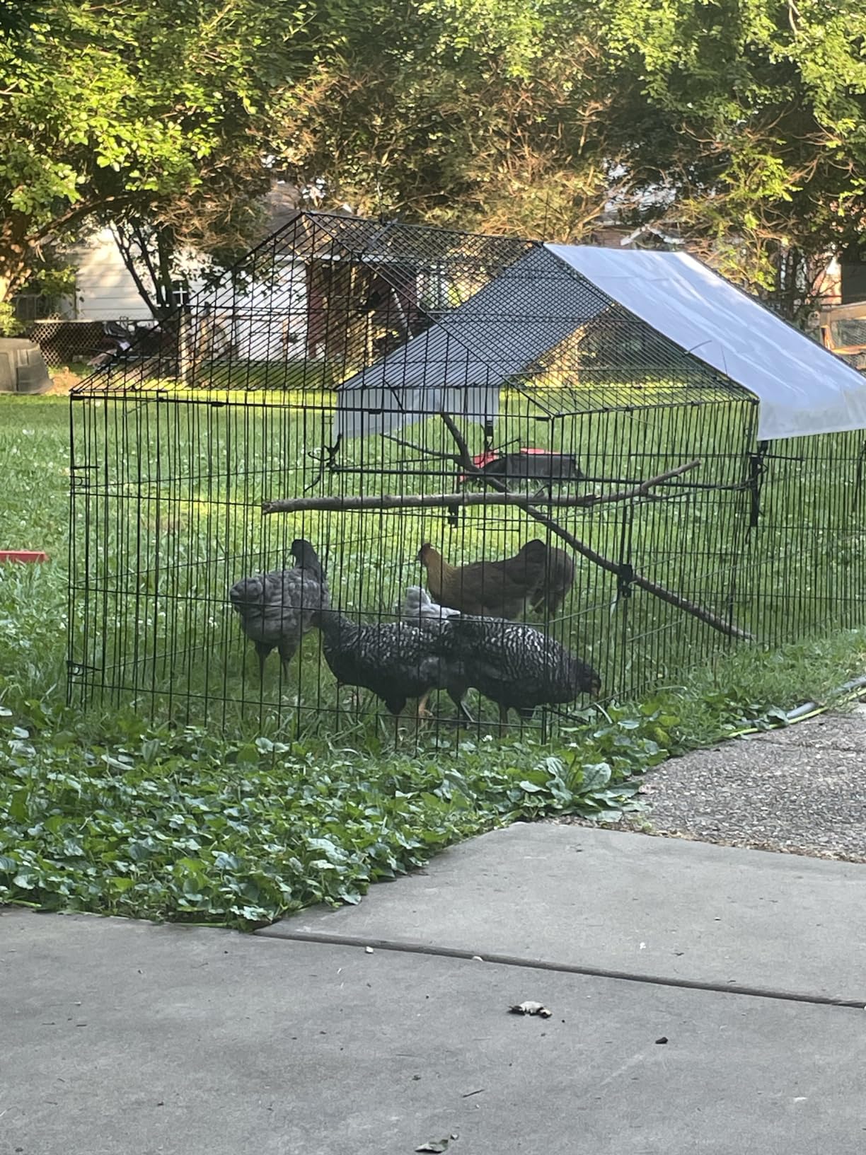 NUGRIART Metal Chicken Coop 83