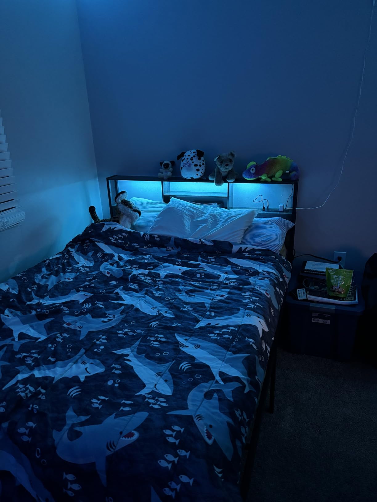 Aheaplus Headboard for Queen Size Bed with Storage, Headboards with Outlets customer photo 2