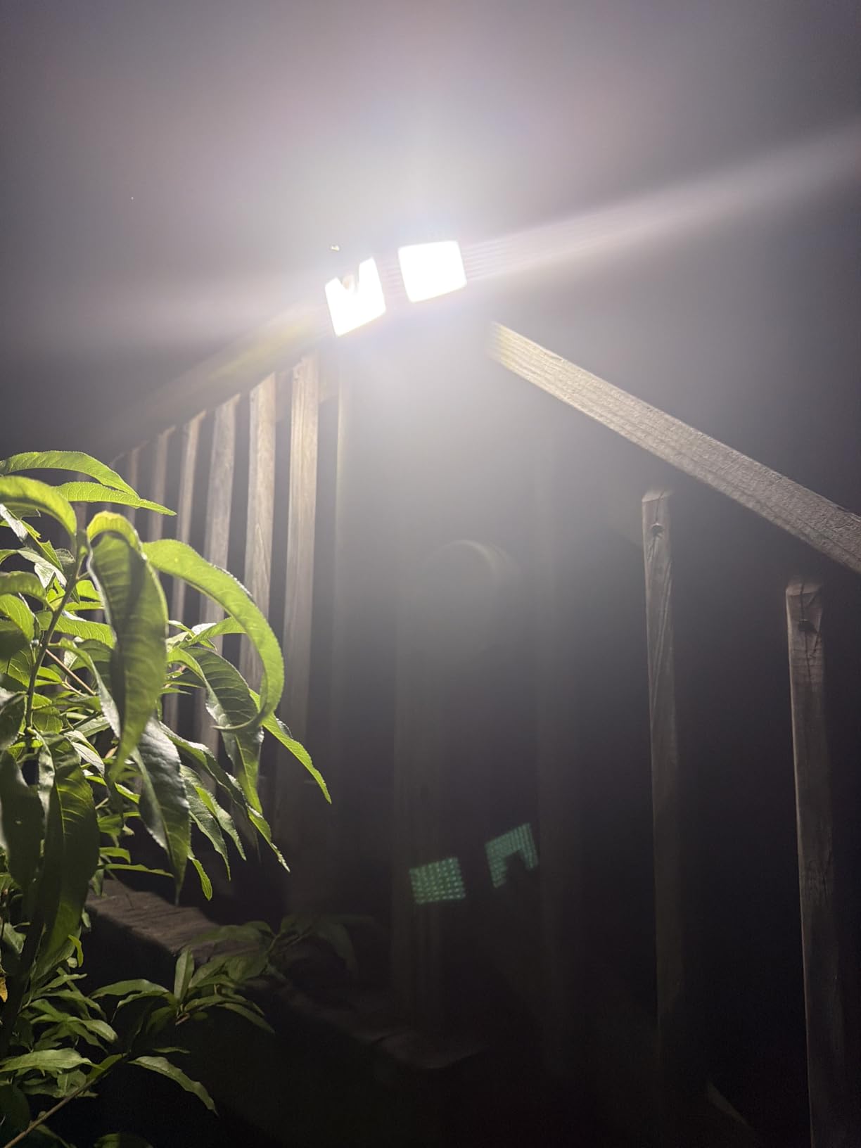 daphino 2500LM Solar Lights, Motion Sensor Outdoor Lights, 3-Head, 2 Pack customer photo 2