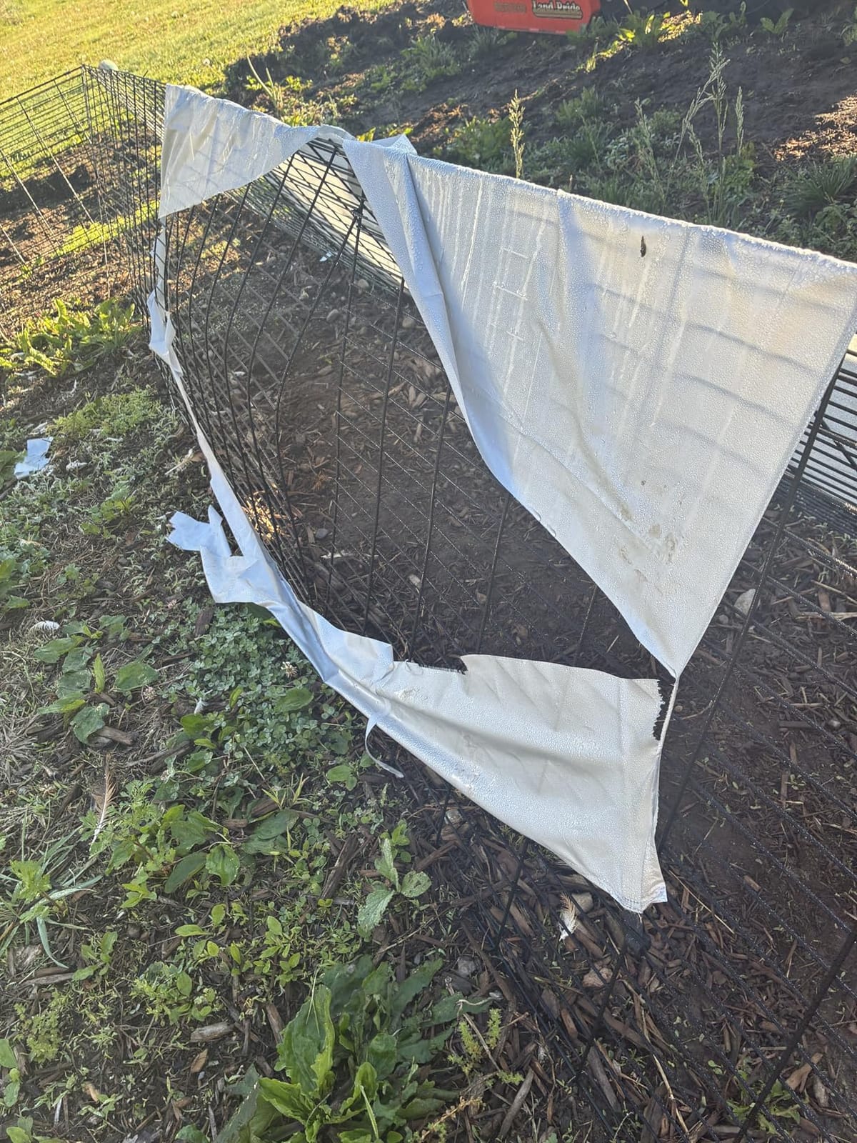 VEVOR Chicken Tunnels for Yard, Metal Poultry Playpen for Outside with Waterproof Cover & Corner Frames, 157.5 x 39.4 x 24.2 inch(LxWxH), Also Widely Used for Ducks, Rabbits, Geese Coop customer photo 1