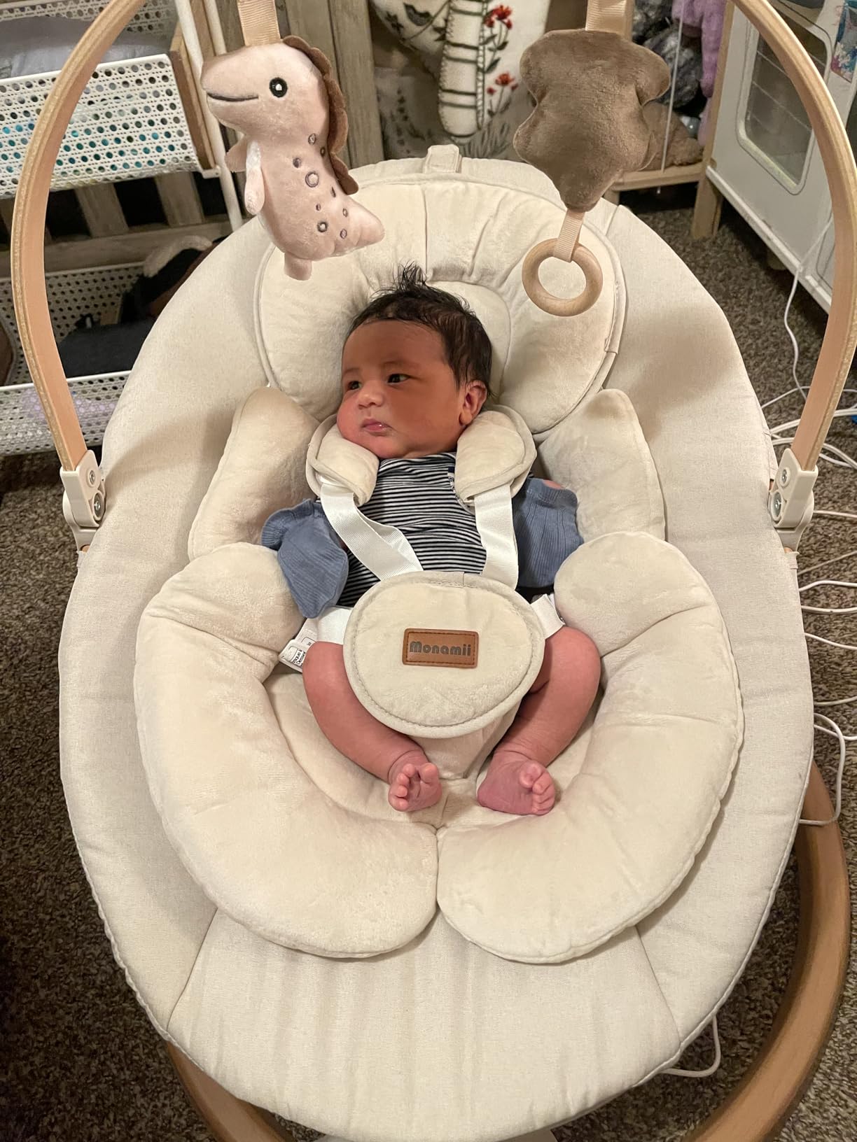 Monamii Baby Swings for Infants, Bluetooth Infant Swing with Music Speaker | Baby Swing with 5 Speeds, Remote Control, IMD Touch Panel, 3 Timer Settings, for Indoor & Outdoor Use customer photo 2