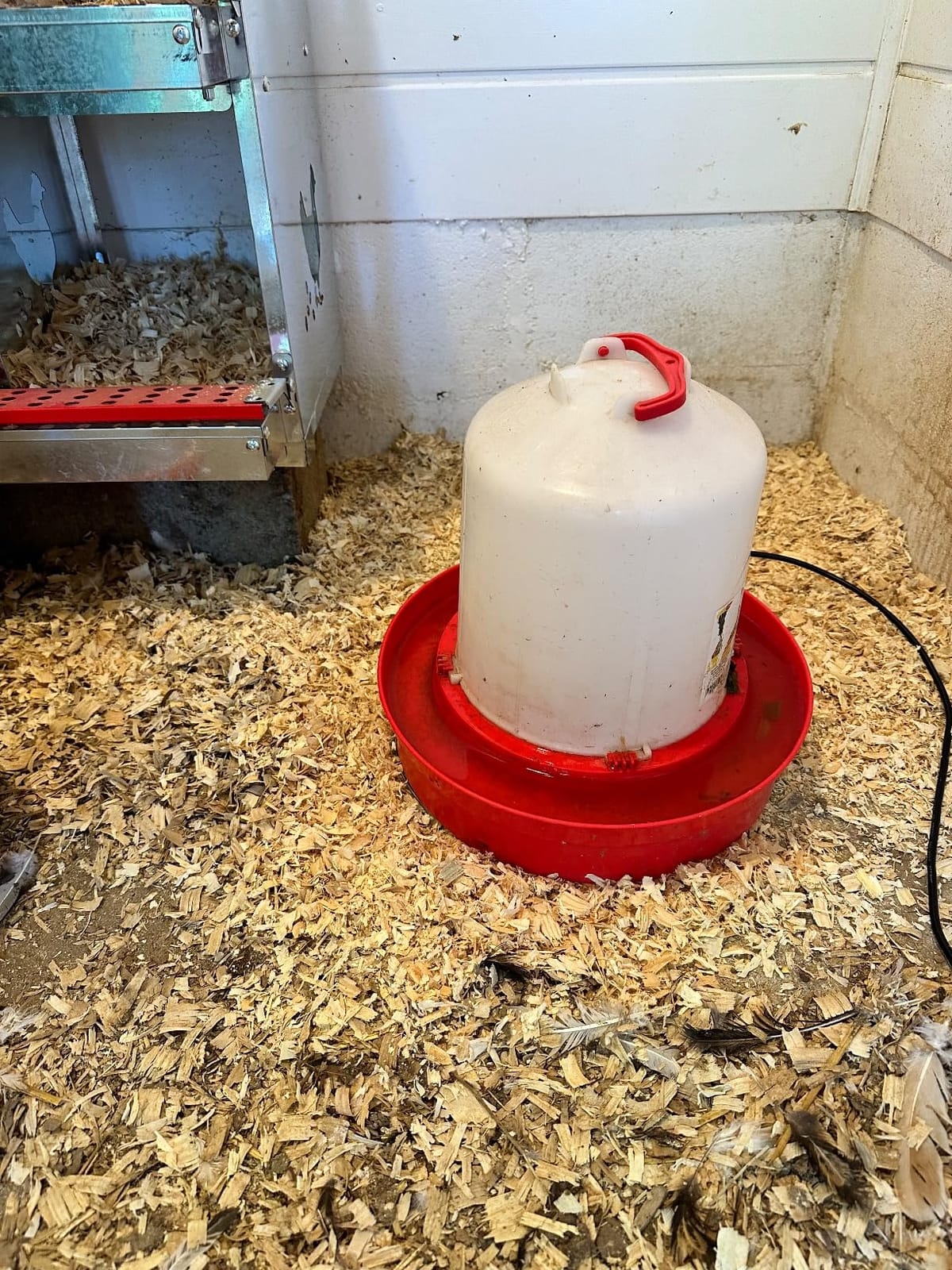 Chicken Water Heater for Winter, Heated Poultry Waterer Base,with Thermostat and 9.8ft Power Cord, Dia.11in customer photo 1
