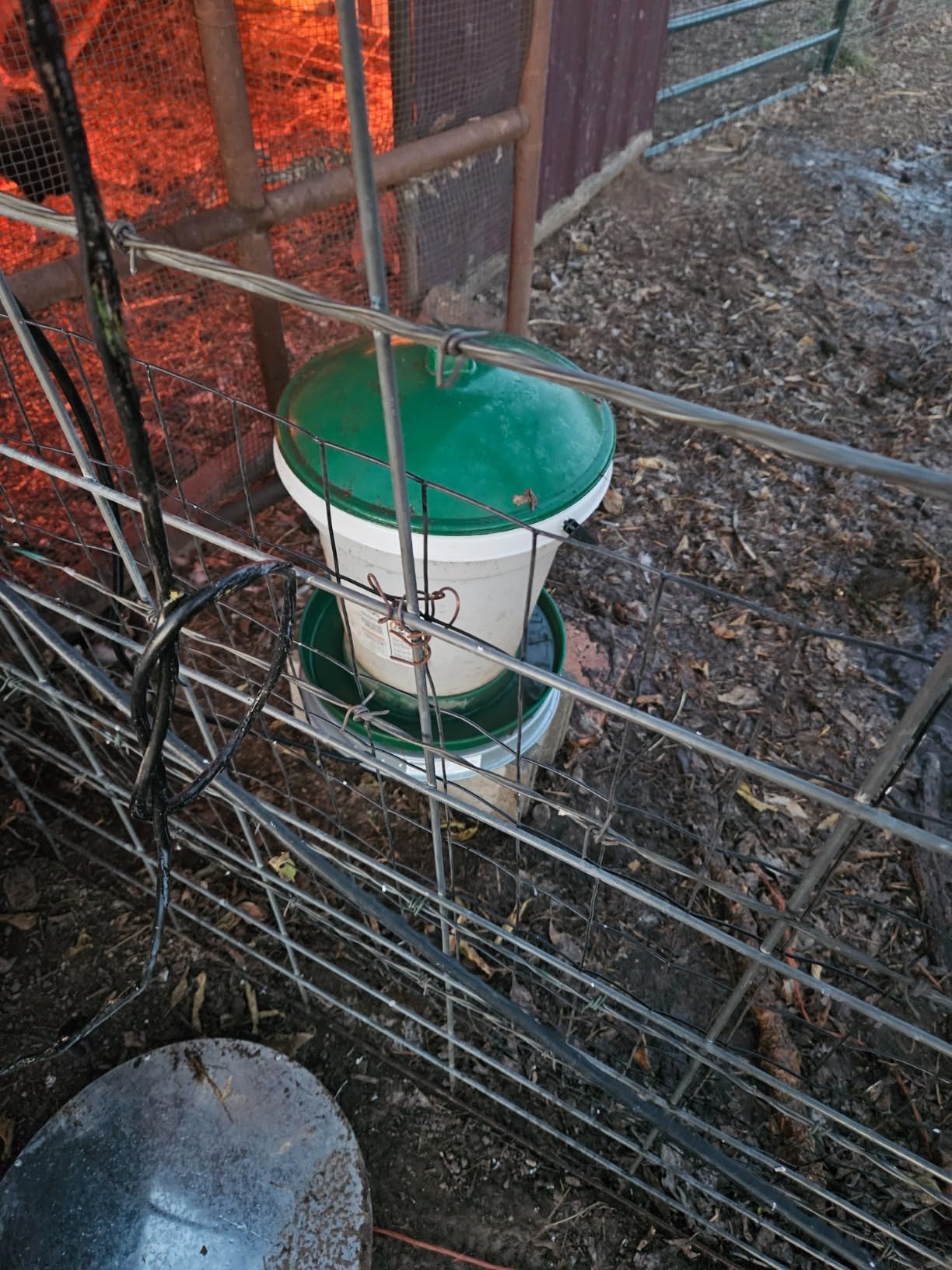 Chicken Water Heater for Winter, Heated Poultry Waterer Base,with Thermostat and 9.8ft Power Cord, Dia.11in customer photo 2