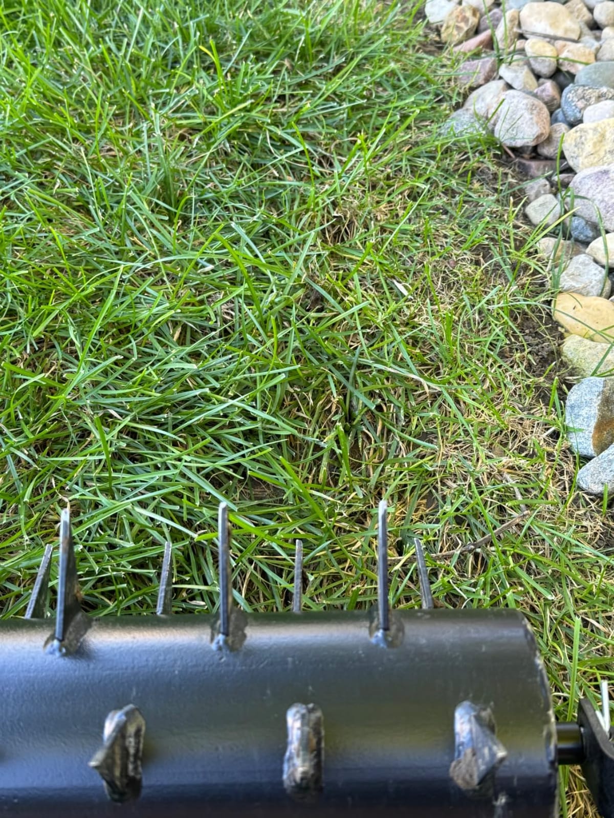 Seeutek 23Inch Rolling Lawn Aerator - Upgraded Heavy Duty Aerators customer photo 2