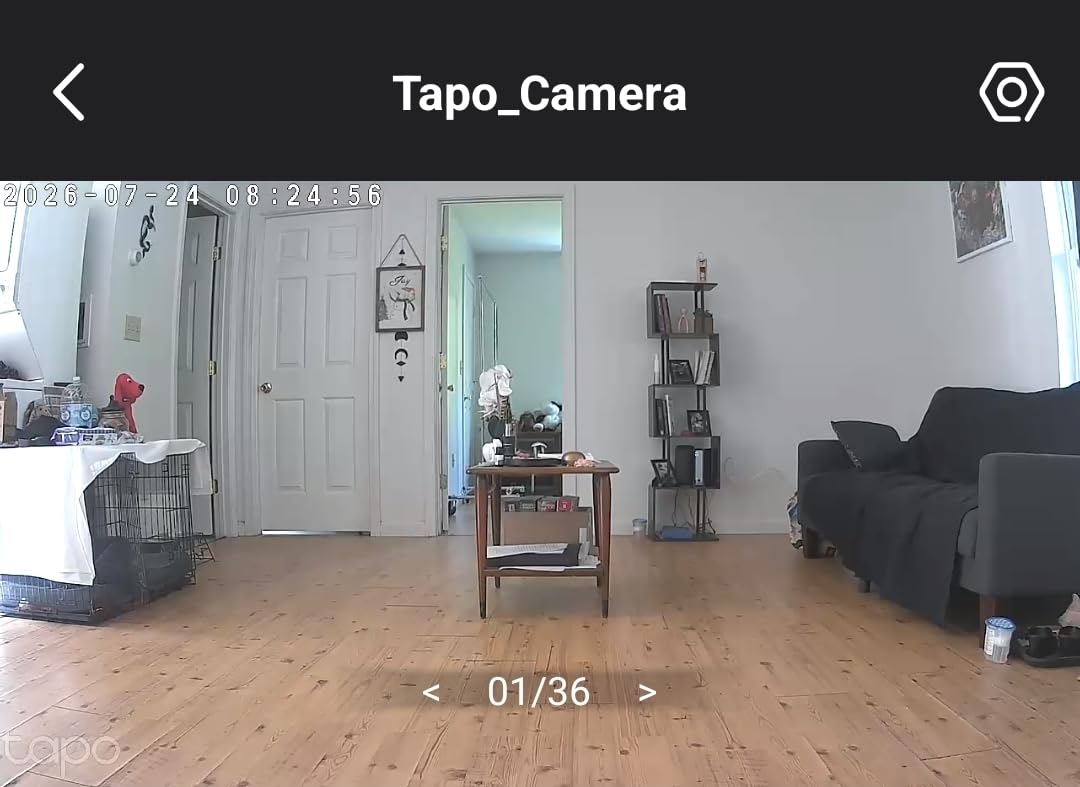 Tapo 1080p Pan/Tilt Security Camera for Baby Monitor, Pet Camera, C201 customer photo 1