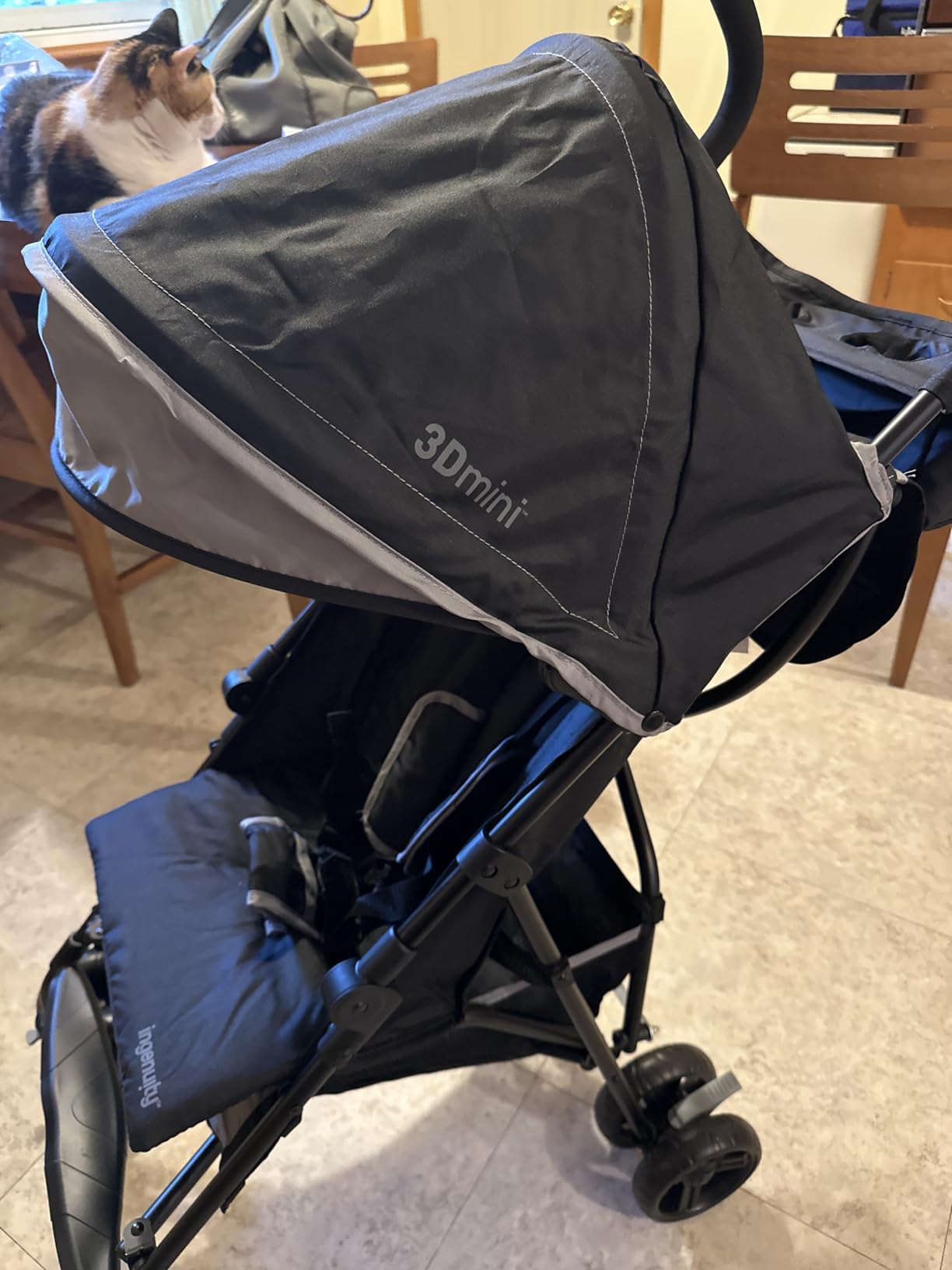 Ingenuity 3D Mini Convenience Stroller – Lightweight Stroller with Compact Fold, Multi-Position Recline, Canopy with Pop Out Sun Visor – Umbrella Stroller for Travel and More, Cashew Tan customer photo 2