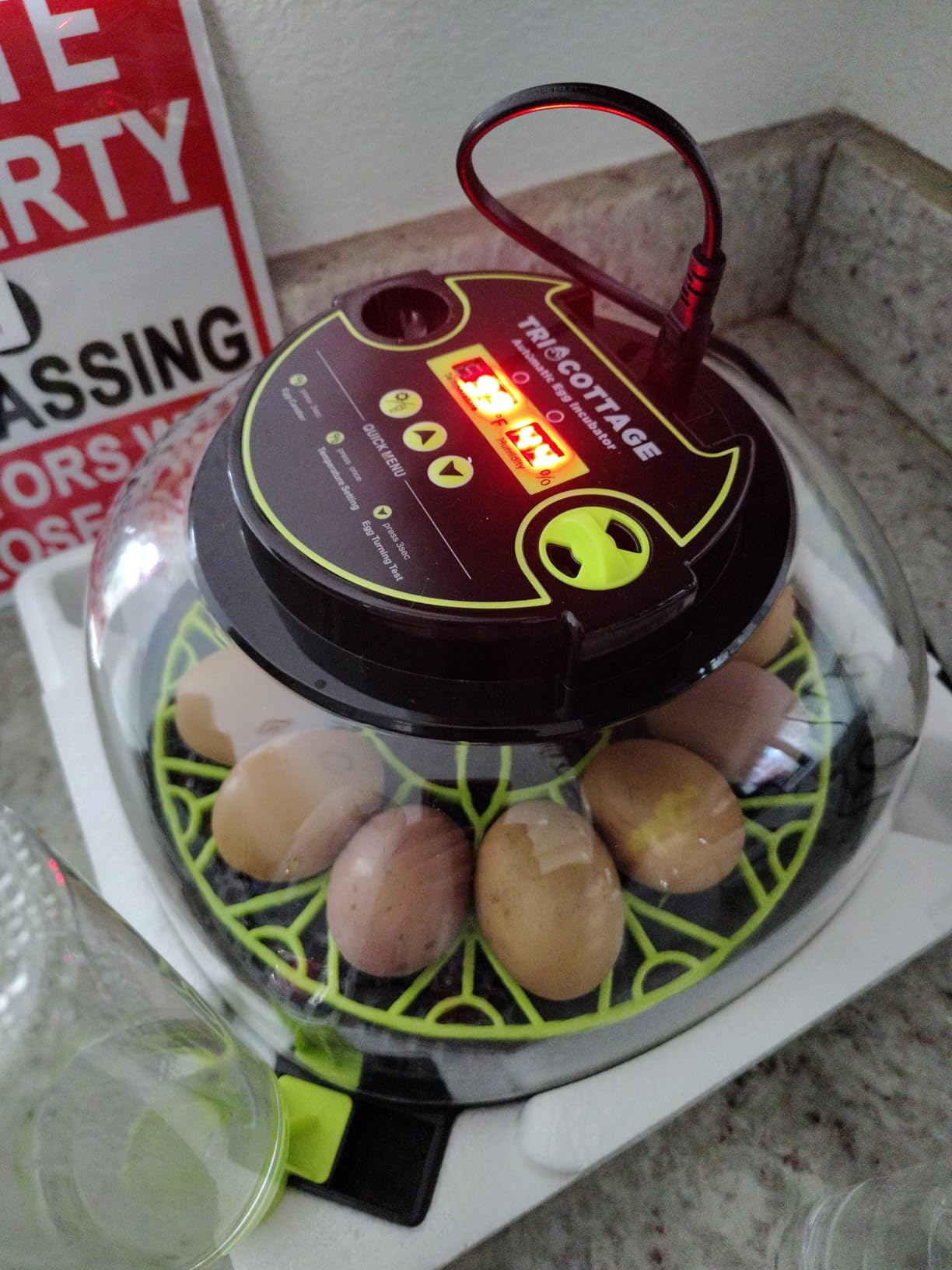 Incubators for Hatching Eggs 12 Egg Incubator with Automatic Egg Turning and Humidity Control,Egg Candler,Auto Water Replenishment,for Chicken Eggs and Quail Egg M12H customer photo 2
