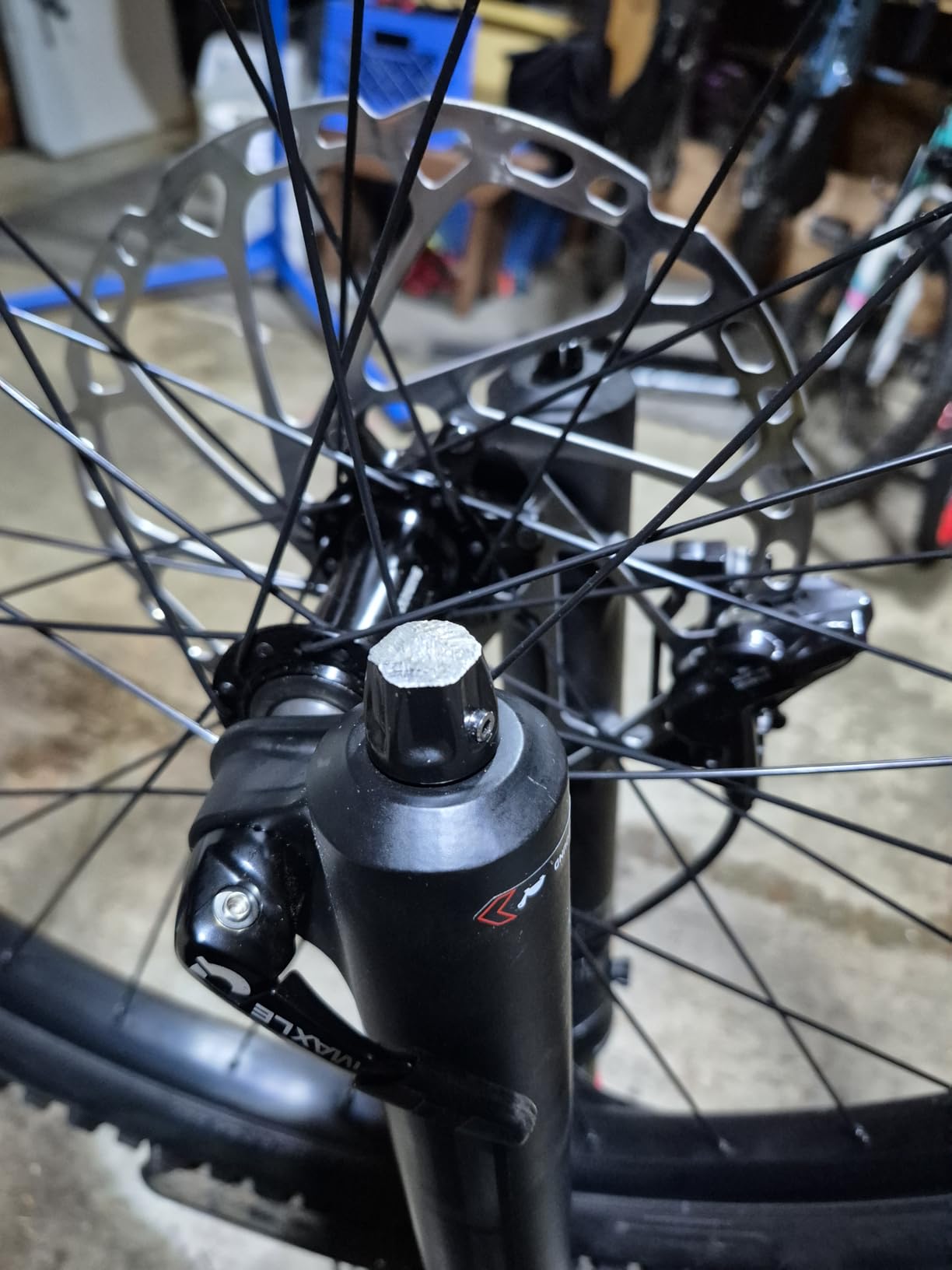 Canyon Torque:ON 7 customer photo 2