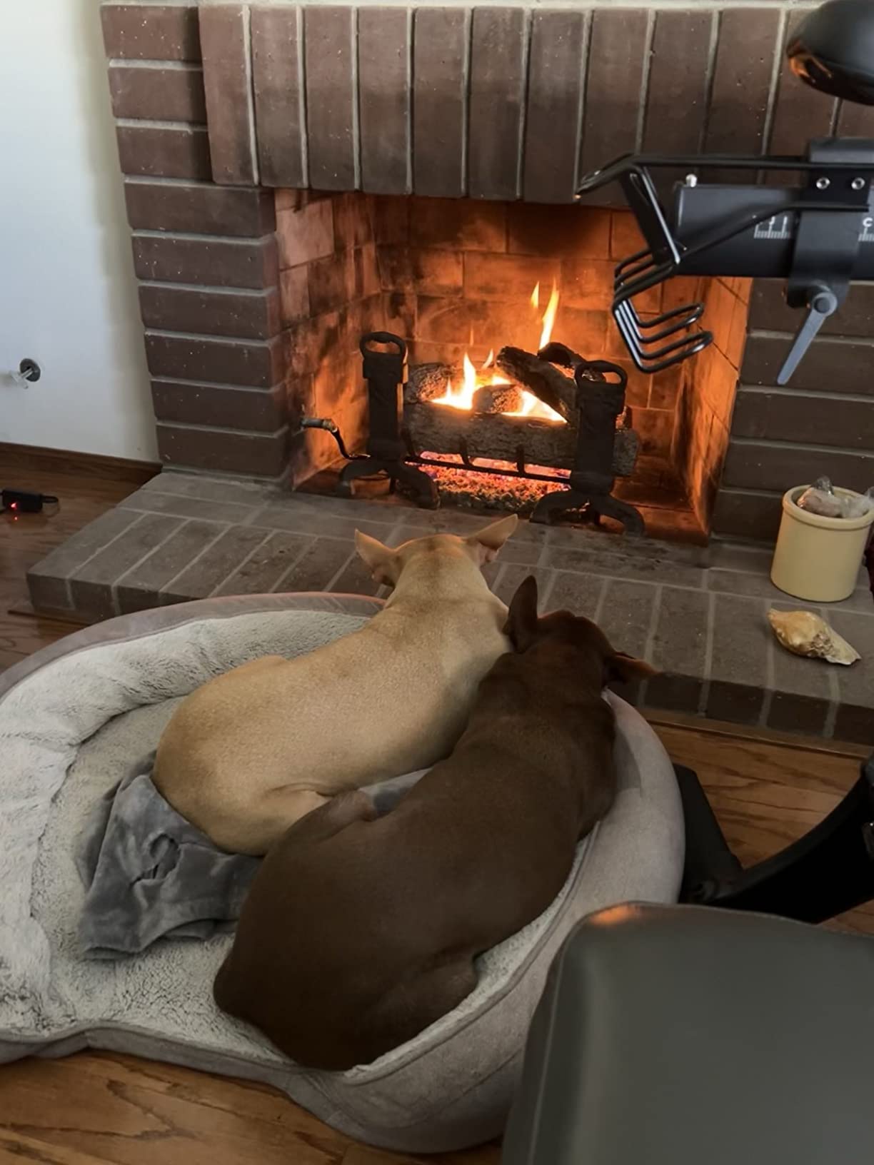 Peterson Real Fyre 30-inch Live Oak Log Set with Vented Burner and Gas Connection Kit. Match Lit (Natural Gas Only) customer photo 2