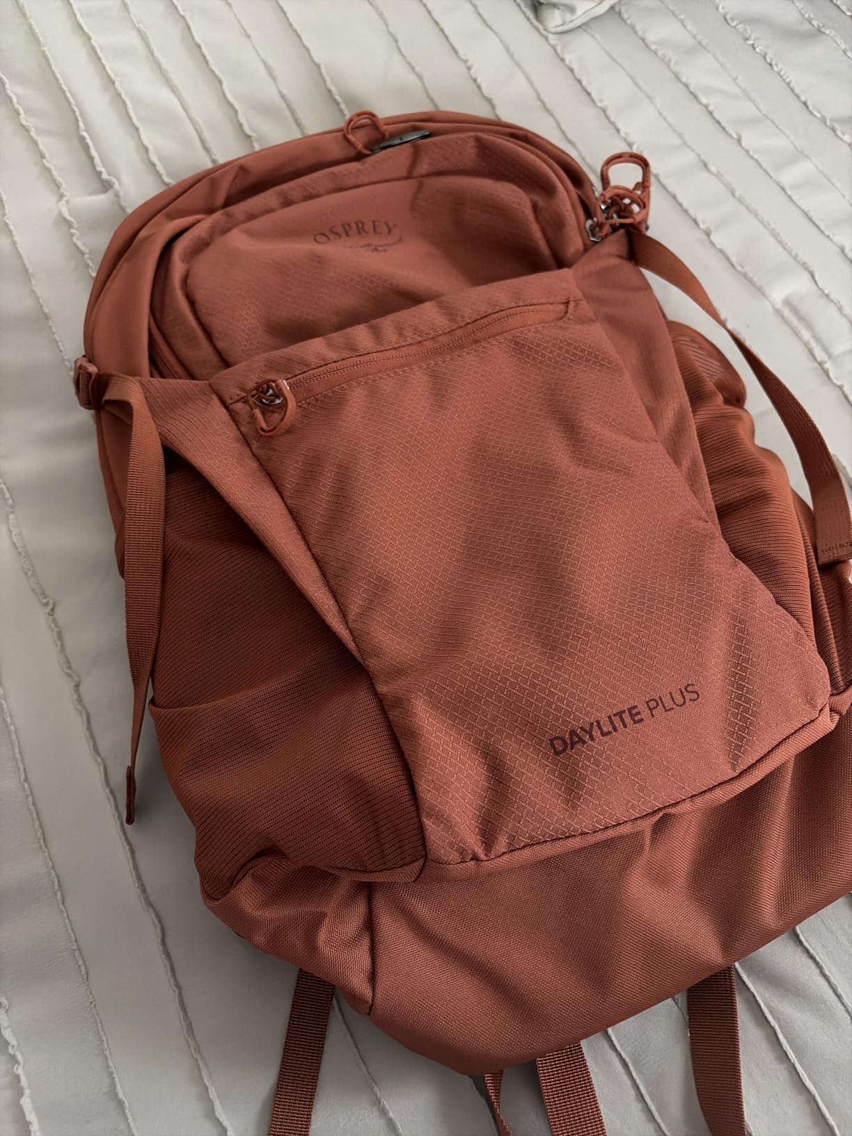 Osprey Daylite Plus Commuter Backpack, Green OS customer photo 1