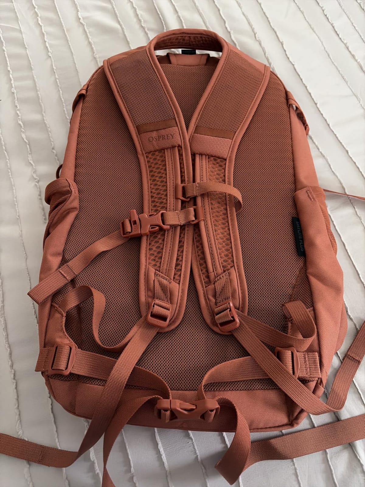 Osprey Daylite Plus Commuter Backpack, Green OS customer photo 2