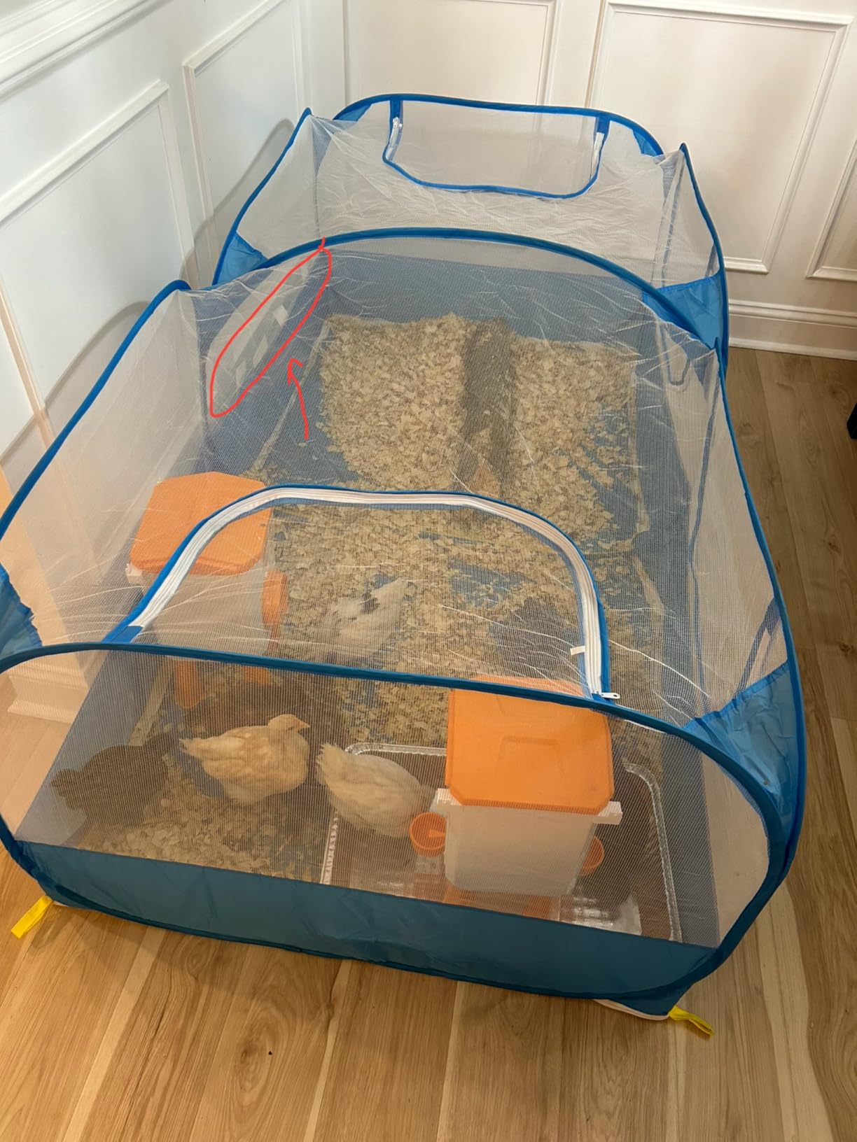 Small Animal Playpen, Portable Large Chicken Coop Run, Foldable Pet Tent customer photo 2