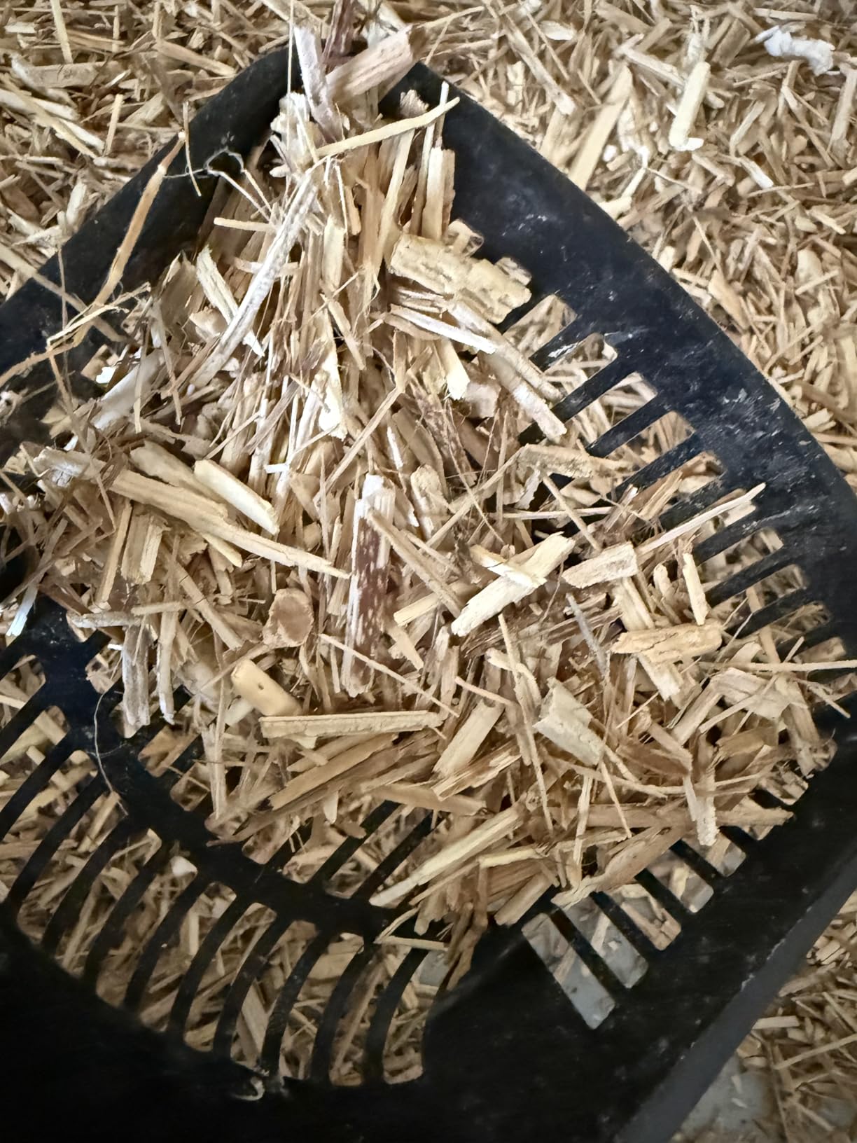 Premium Hemp Bedding for Chicken Coops 285L - 30lbs, 1-Pack customer photo 1