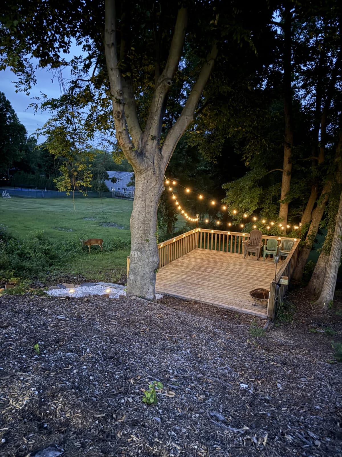 Brightown 108FT 52LED Solar String Lights Outdoor with Remote & USB Port customer photo 1