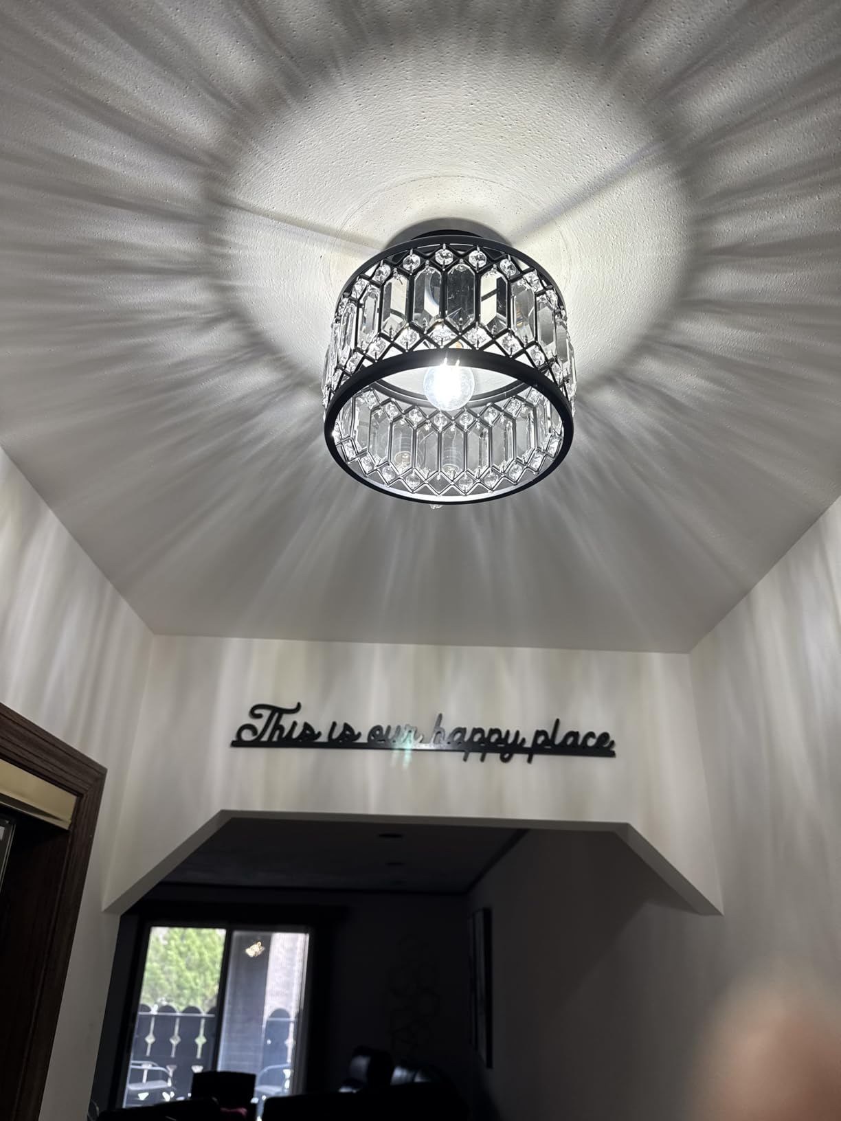 Rpzloila Crystal Ceiling Light Fixture, Modern Flush Mount Ceiling Light, Black Crystal Chandelier for Kitchen Bedroom Bathroom Entryway Hallway customer photo 1
