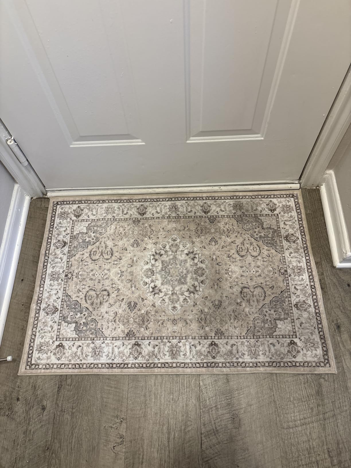 3x5 Living Room Area Rugs: Vintage Washable Non-Slip Rug for Bedroom Dining Room Soft Carpet for Nursery Kitchen Home Office Durable & Easy-Clean Design Perfect for Homes with Cats & Dogs(3x5 Beige) customer photo 2