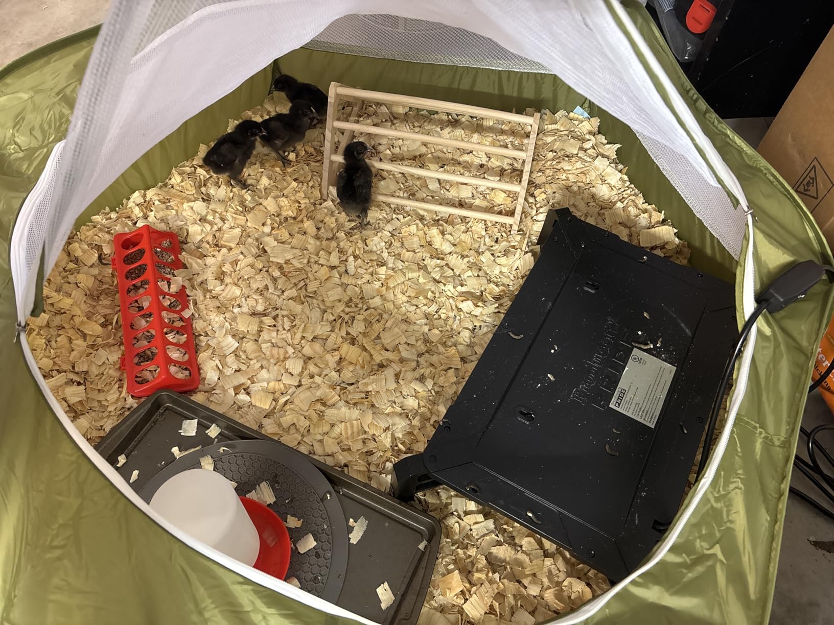 Pawaboo Chick Brooder Box for Chick Starter Kit, Red+Black customer photo 1
