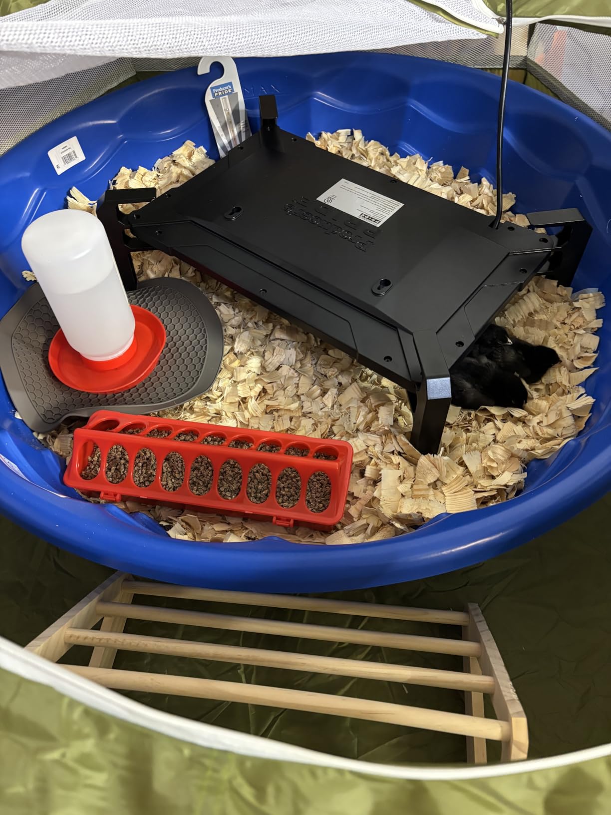 Pawaboo Chick Brooder Box for Chick Starter Kit, Red+Black customer photo 2