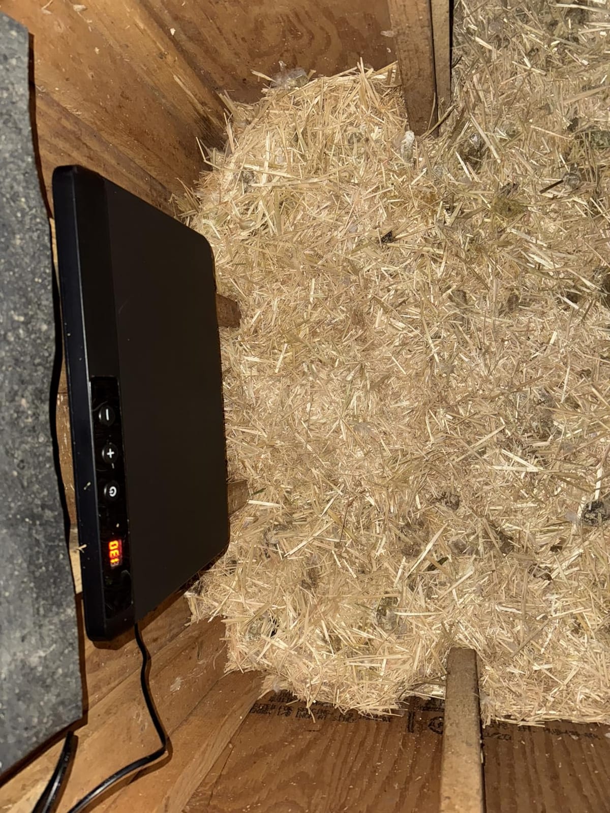 HOPOCO Smart Chicken Coop Heater with Efficient Thermostat, Compatible with Timers & Temp Controllers, 200W Safe Inside Radiant Flat Panel Warmer, Remote-Adjustable for Pets & Animals in Winter customer photo 1