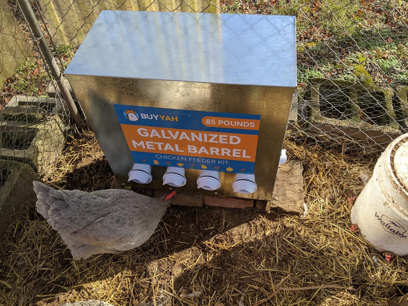 100lb Capacity Automatic Chicken Feeder customer photo 1