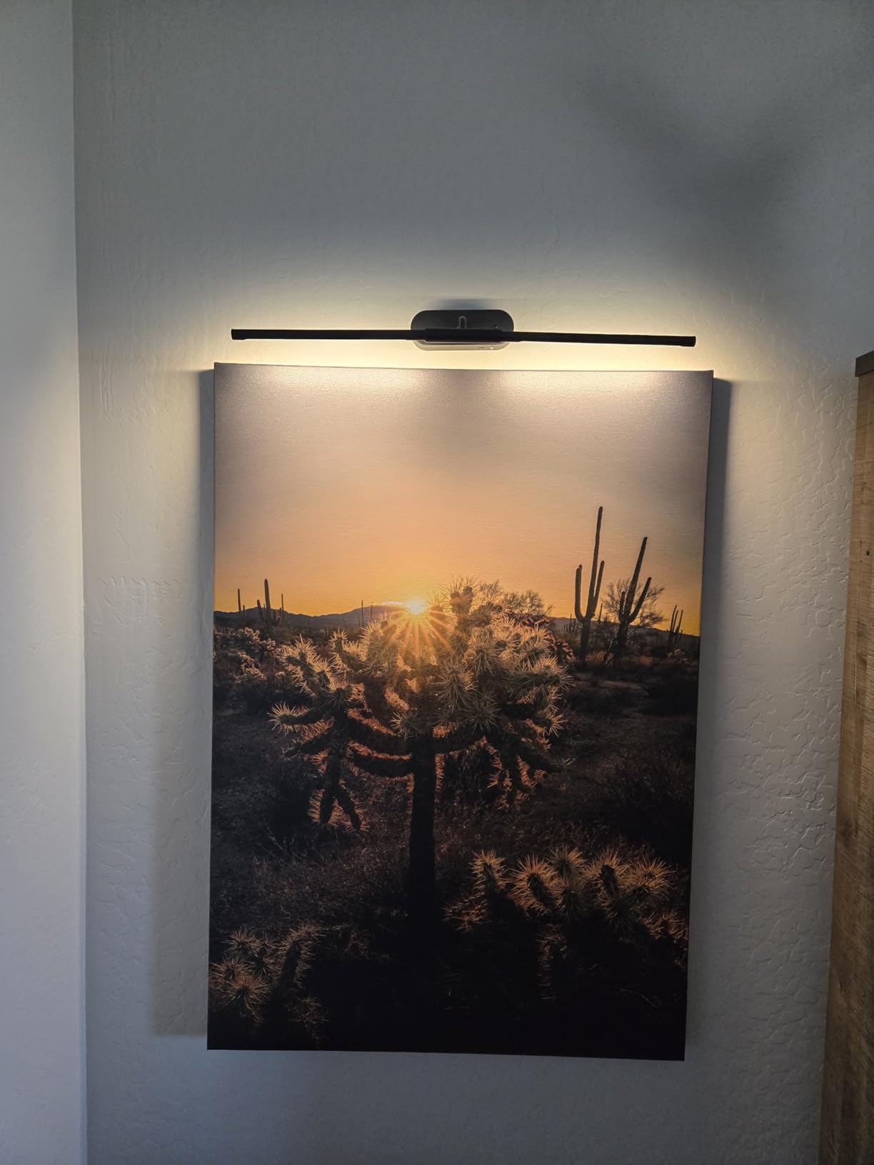Glendan Picture Light for Wall, Professional Art Light for Museum & Gallery customer photo 1