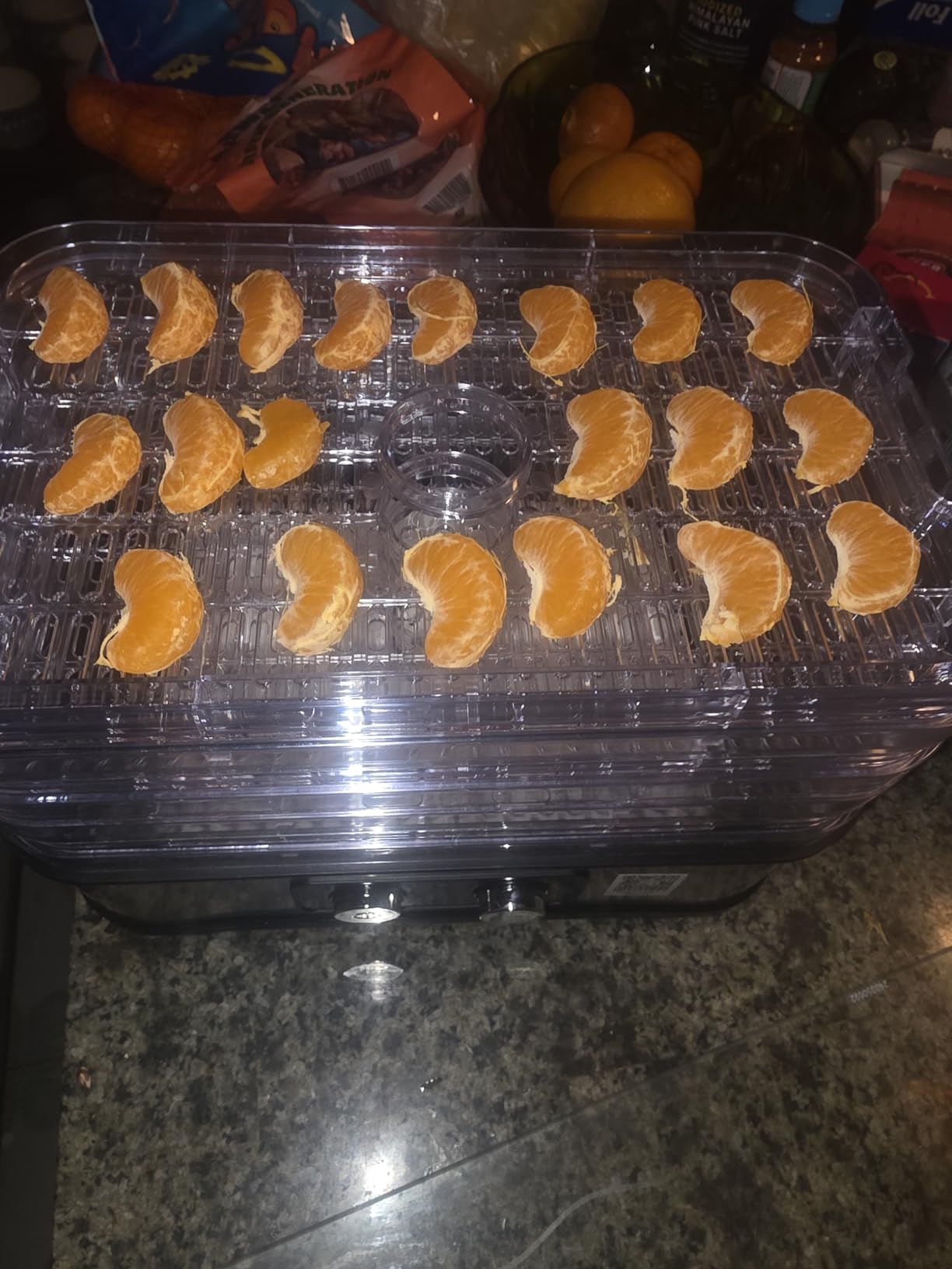 Small Food Dehydrator for Jerky, Fruit, Herbs & Pet Treats customer photo 2