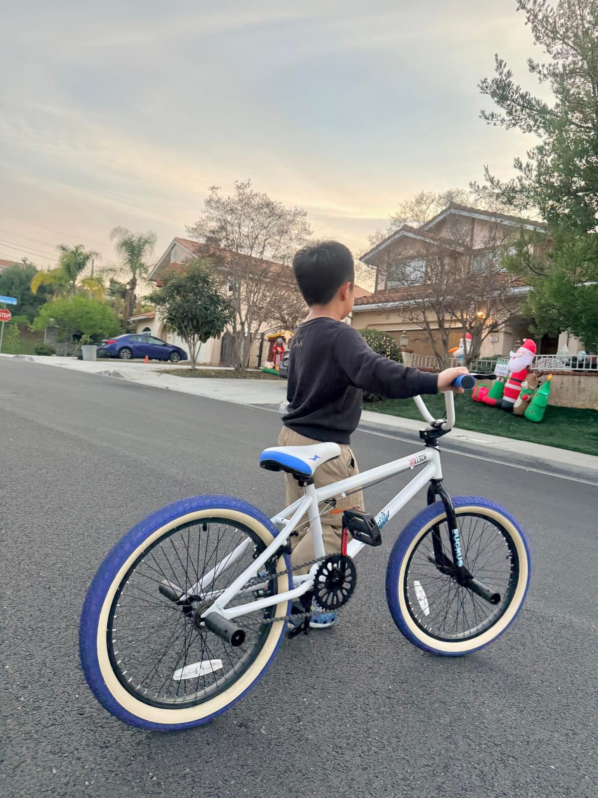vollsch 18 20 Inch Kids Freestyle BMX Bikes for 6-15 Years Old Boys Girls customer photo 1