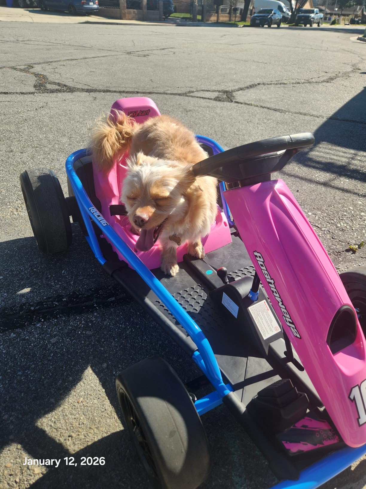 Electric Drift Go Kart for Kids 8-12, 24V Battery,360W Motor, Reinforced Wear-Proof Rear Wheels, 3 Unique Colors, 8.1MPH High Speed,154lbs Capacity, Drift Ride On Car Toy (Pink) customer photo 1