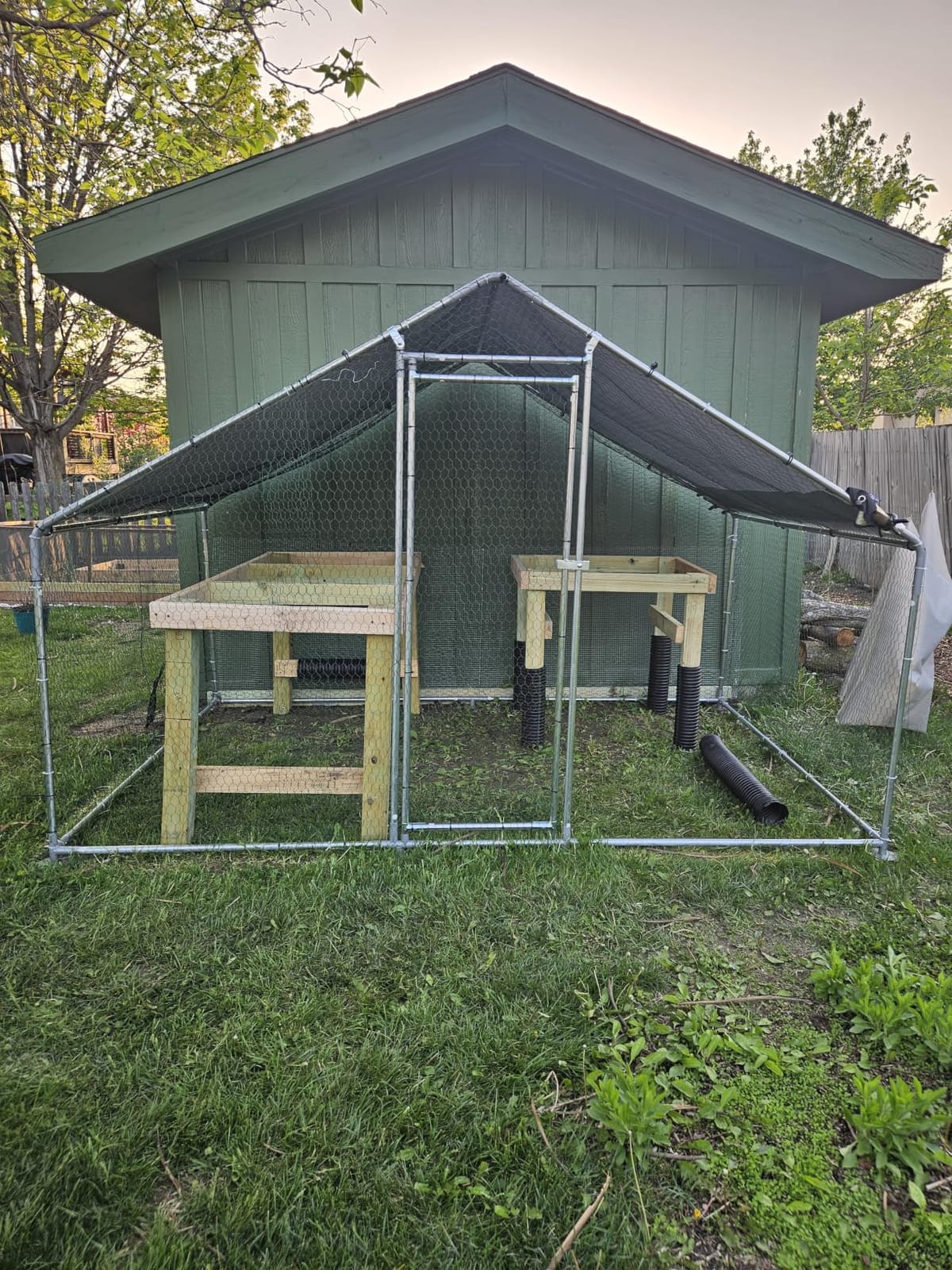 VEVOR Large Metal Chicken Coop,6.6 x 3.3 x 6.6 ft, Walk-in Chicken Run House with Waterproof Cover & Sturdy Frame, Spire Roof Poultry Cage Duck Pen for Rabbit Hen Goose Outdoor Backyard Farm Use customer photo 1