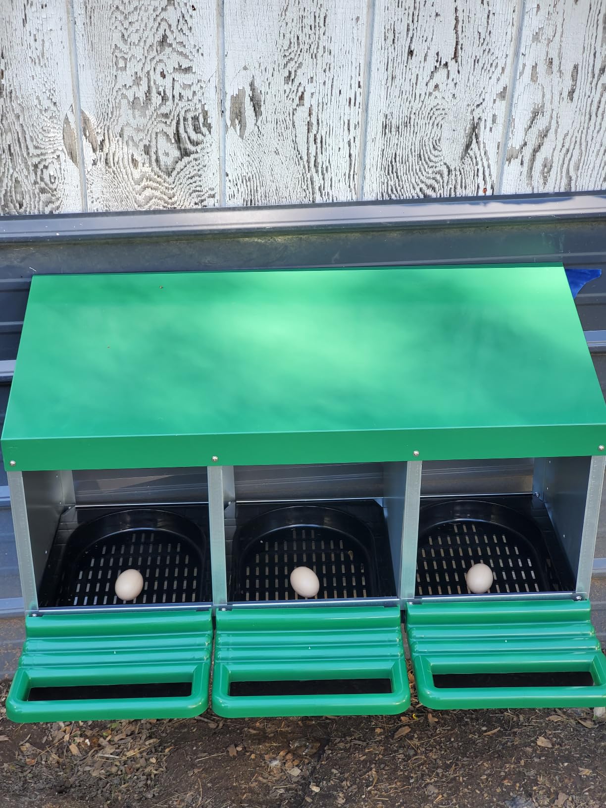 Chicken Nesting Boxes, Roll Away Nest Box for Egg Collector, 4 Holes Orange customer photo 1