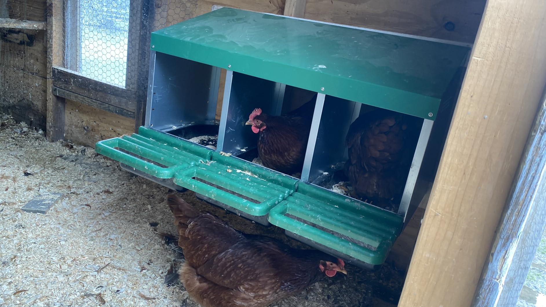 Eggluuz Chicken Nesting Box, 6 Compartments Egg Laying Nests Boxes for Hens customer photo 2