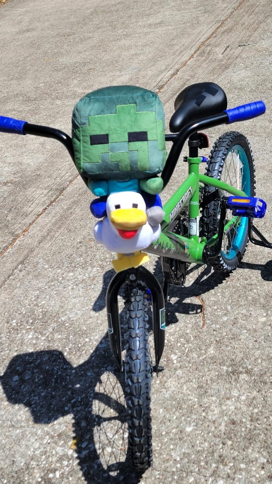 Minecraft 18-Inch Kids Bike - Unisex Bike with Creeper Graphics, Coaster Brake, Adjustable Seat, Removable Training Wheels, Ages 6-9, 42”-53” Tall customer photo 1